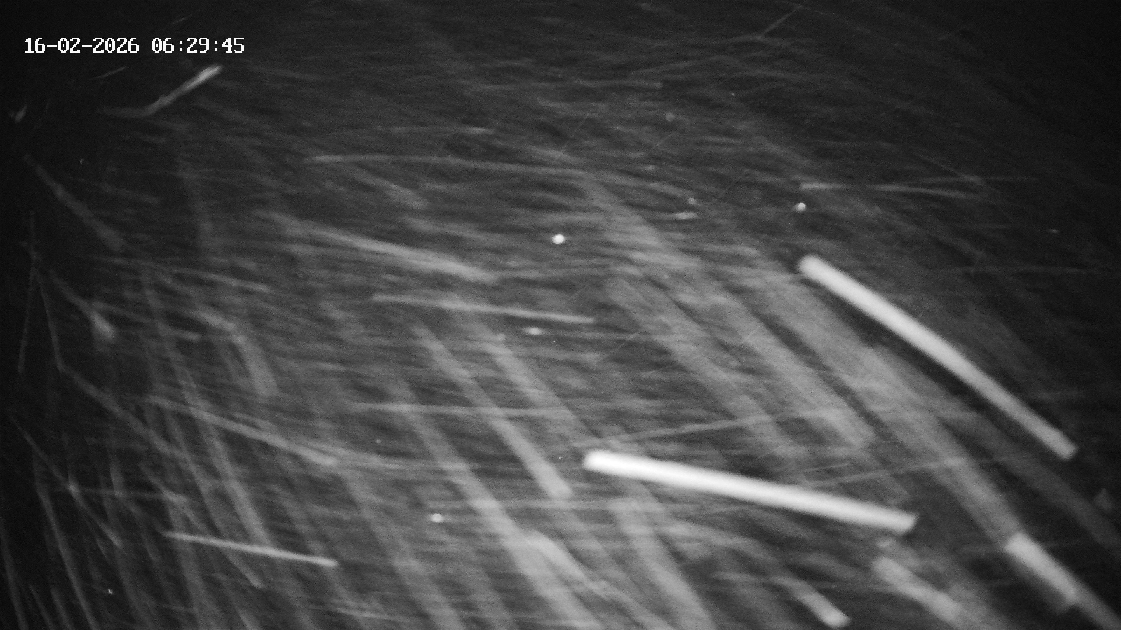 Archiv Foto Webcam Hotel Adler in Warth