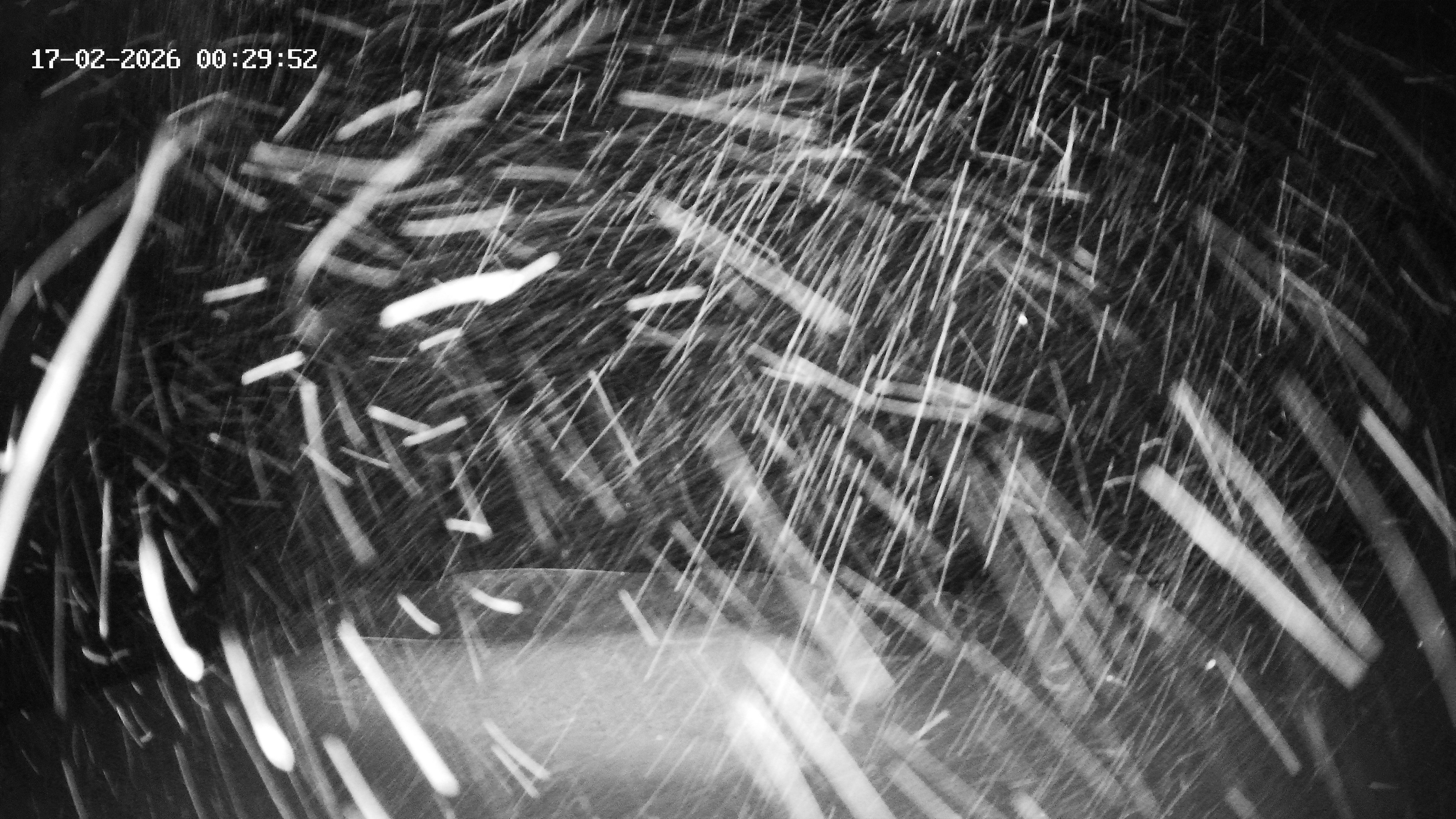 Archived image Webcam Hotel Adler at Warth