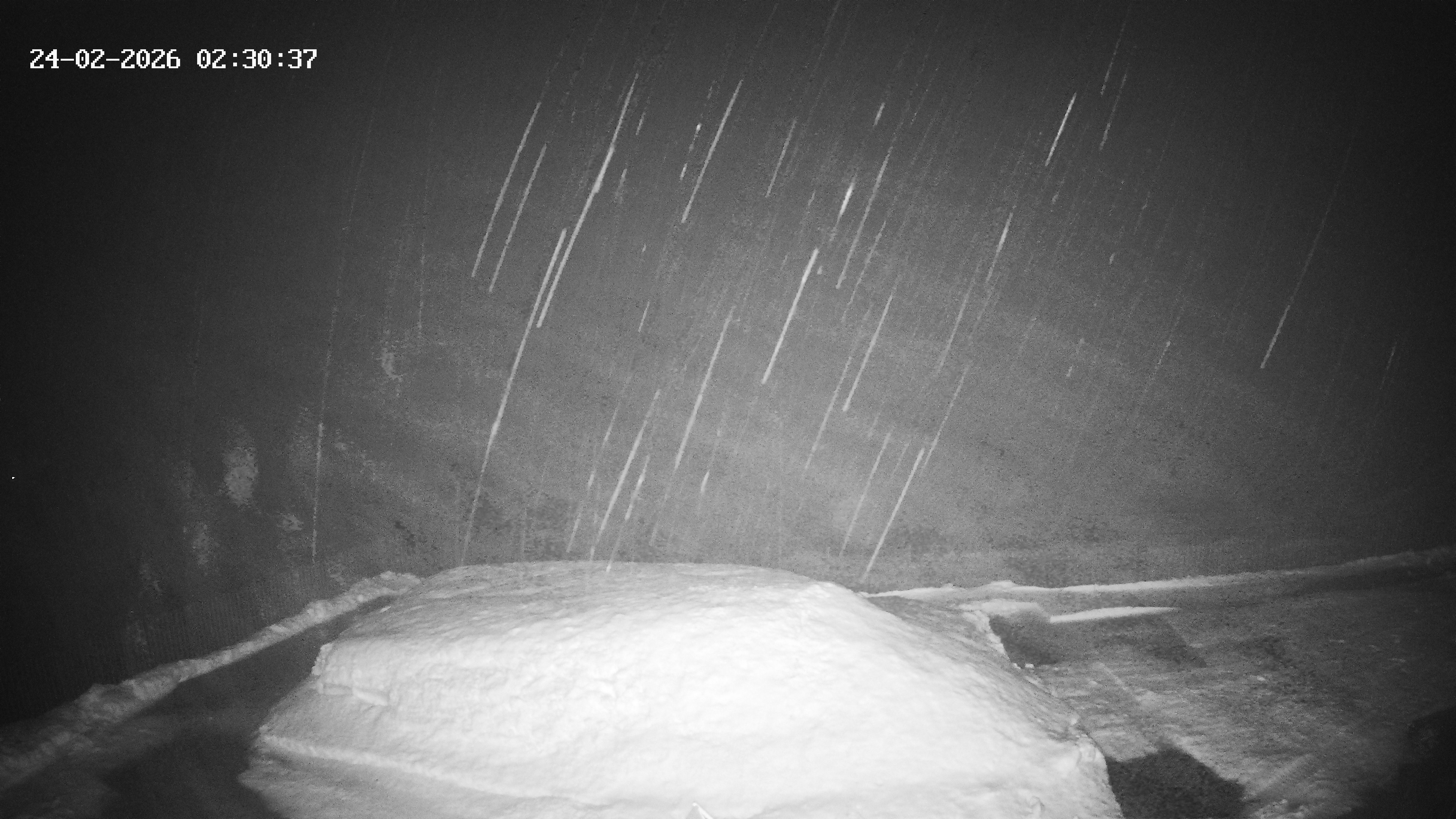 Archiv Foto Webcam Hotel Adler in Warth