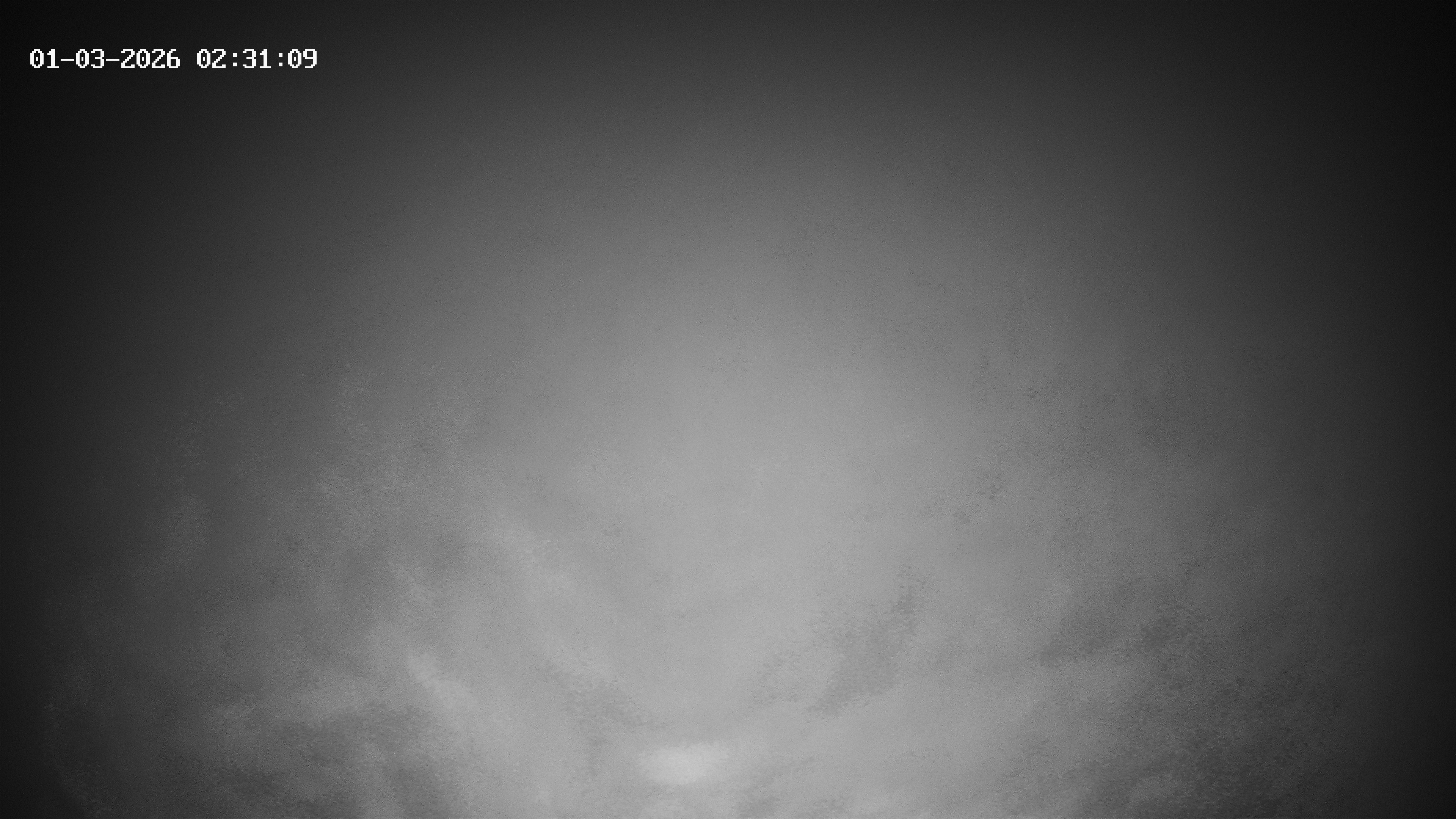 Archiv Foto Webcam Hotel Adler in Warth