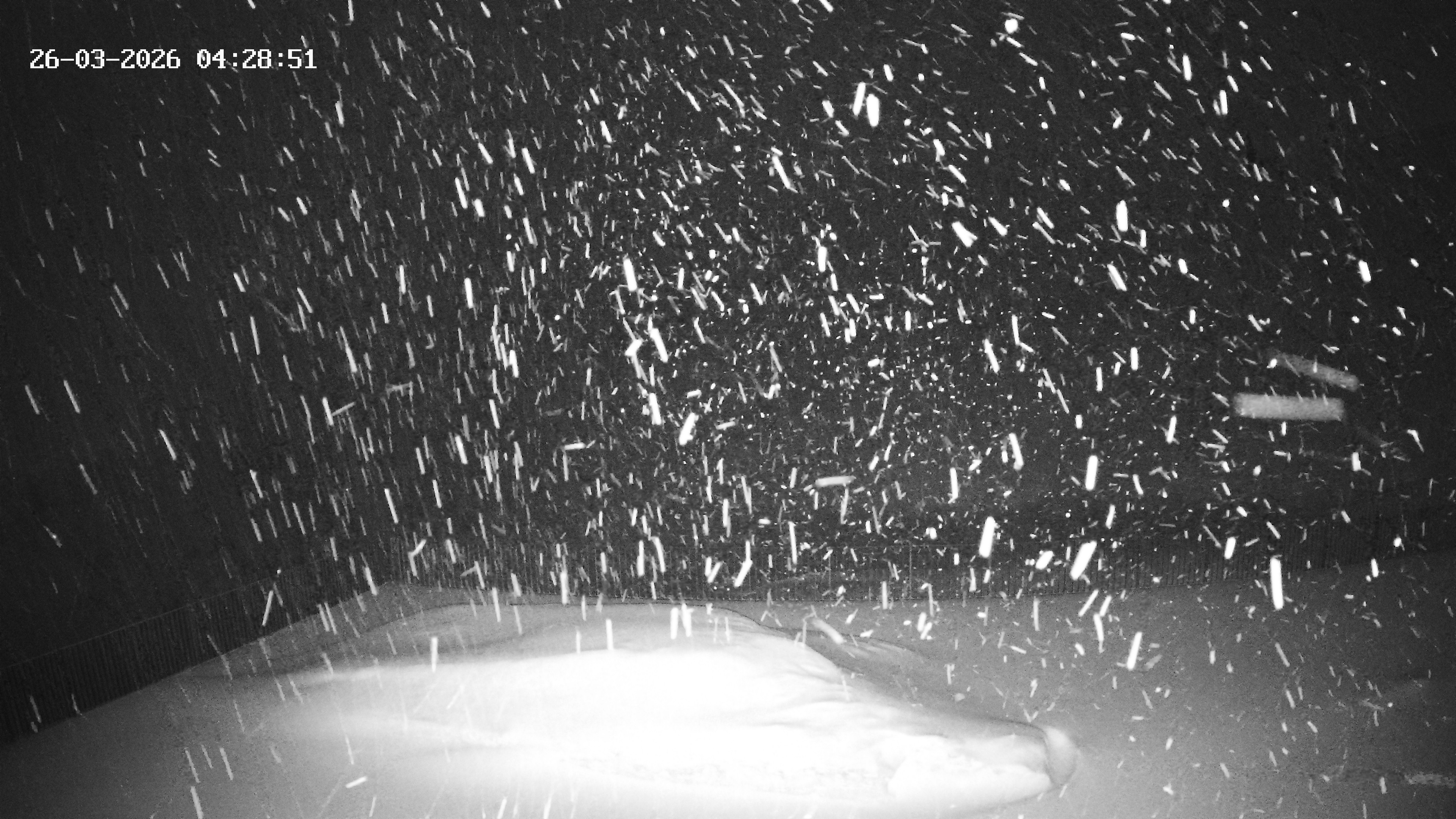 Archived image Webcam Hotel Adler at Warth