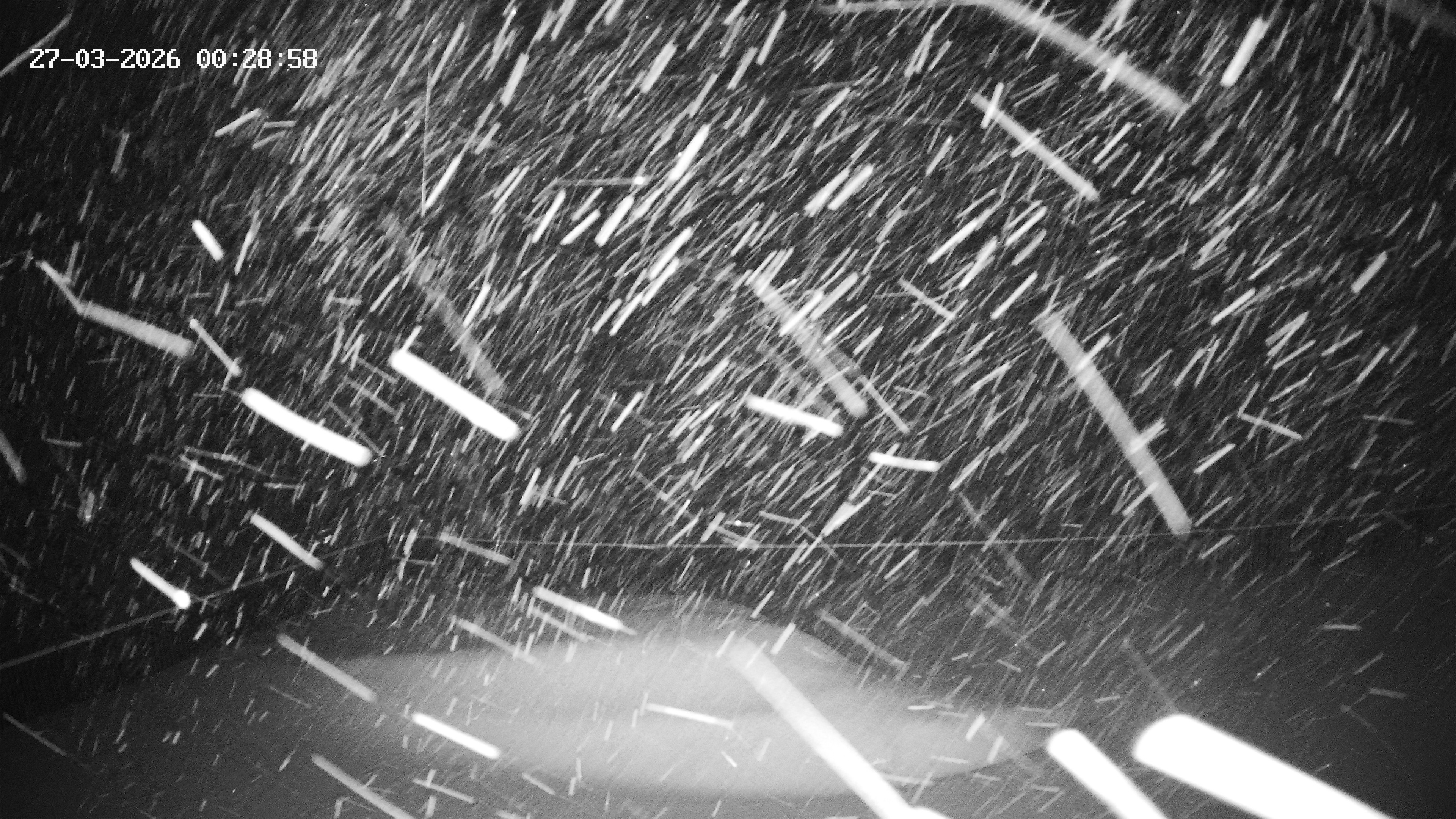 Archiv Foto Webcam Hotel Adler in Warth