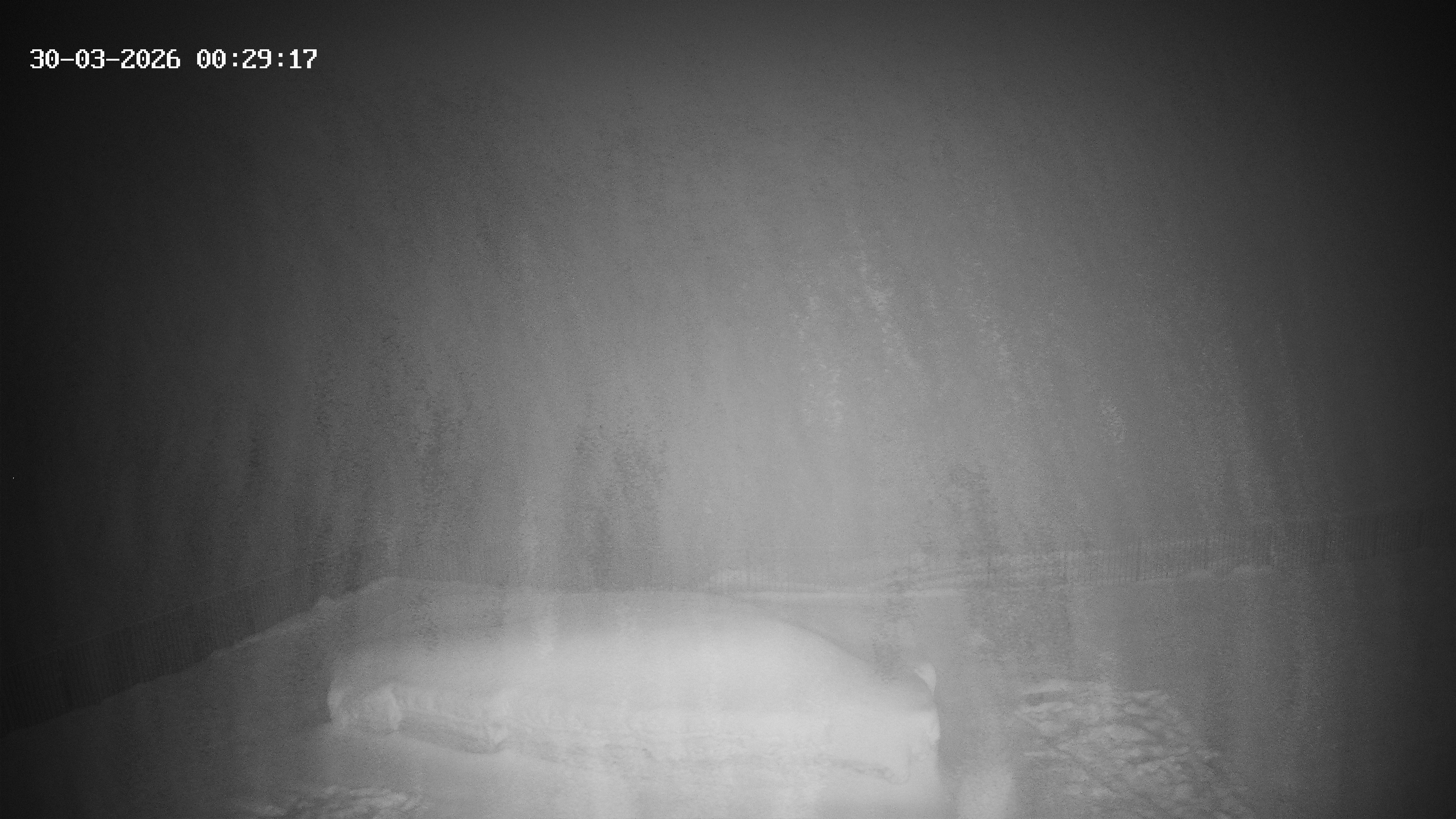 Archiv Foto Webcam Hotel Adler in Warth