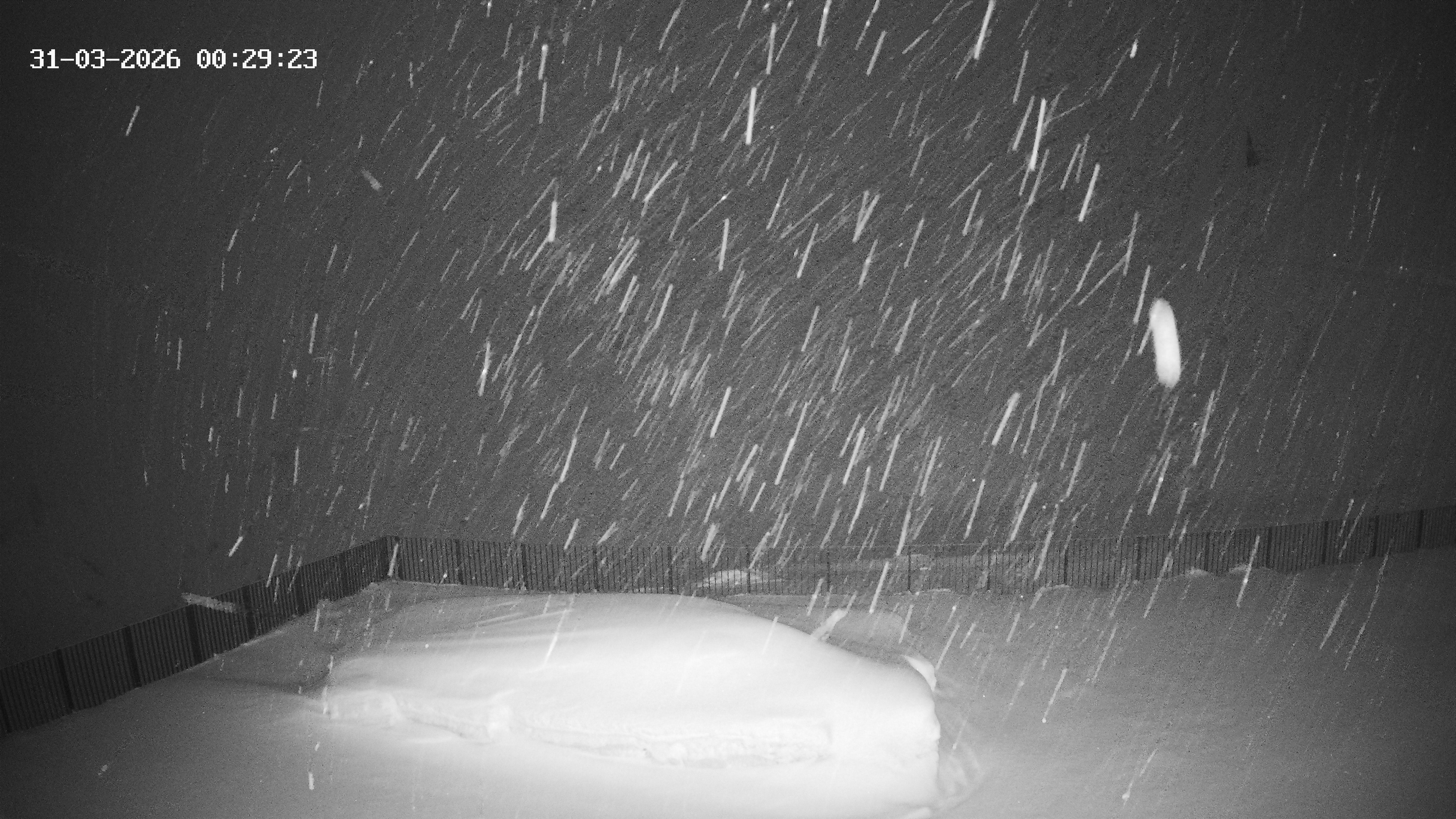 Archiv Foto Webcam Hotel Adler in Warth