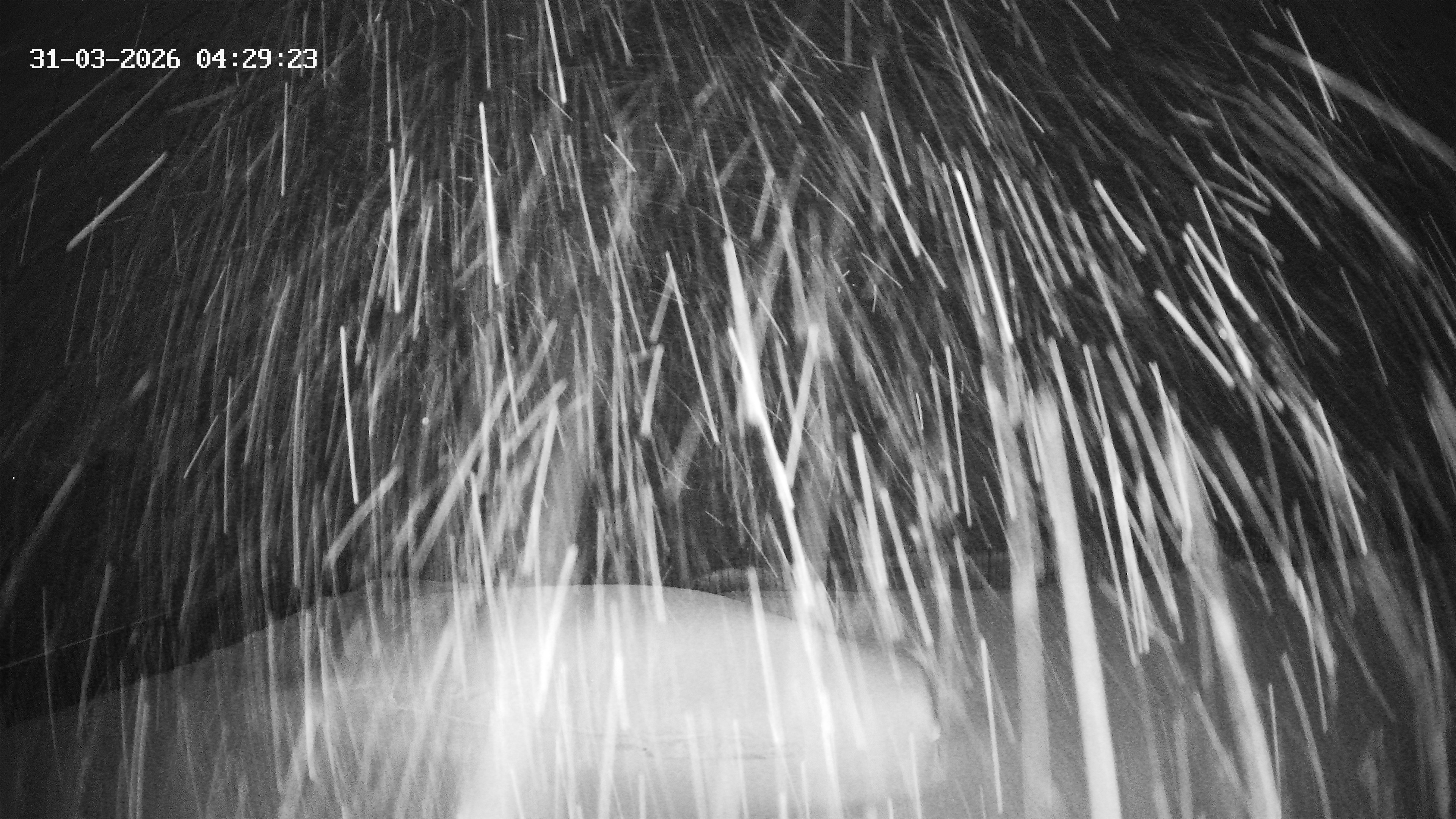 Archiv Foto Webcam Hotel Adler in Warth