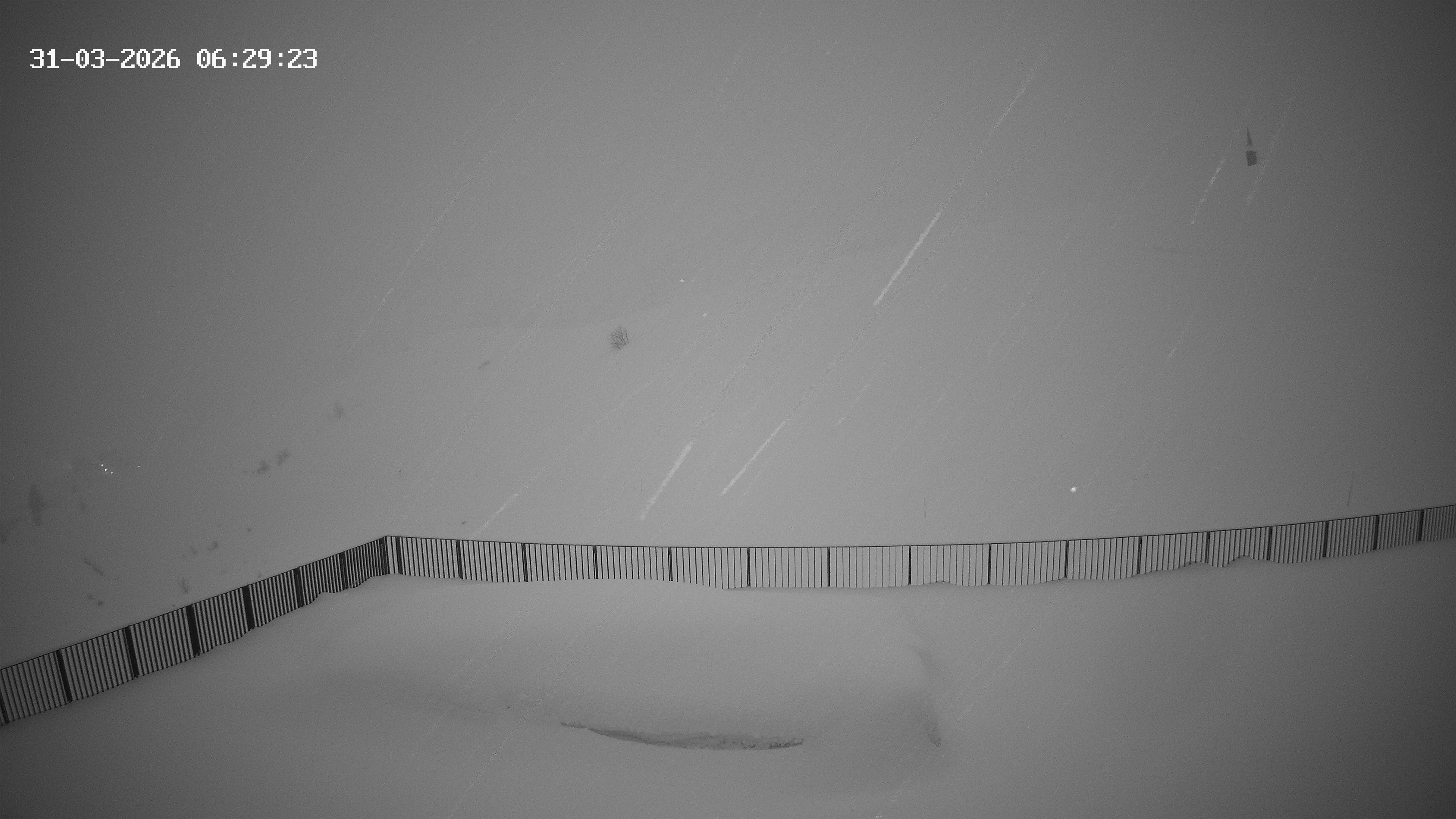 Archiv Foto Webcam Hotel Adler in Warth