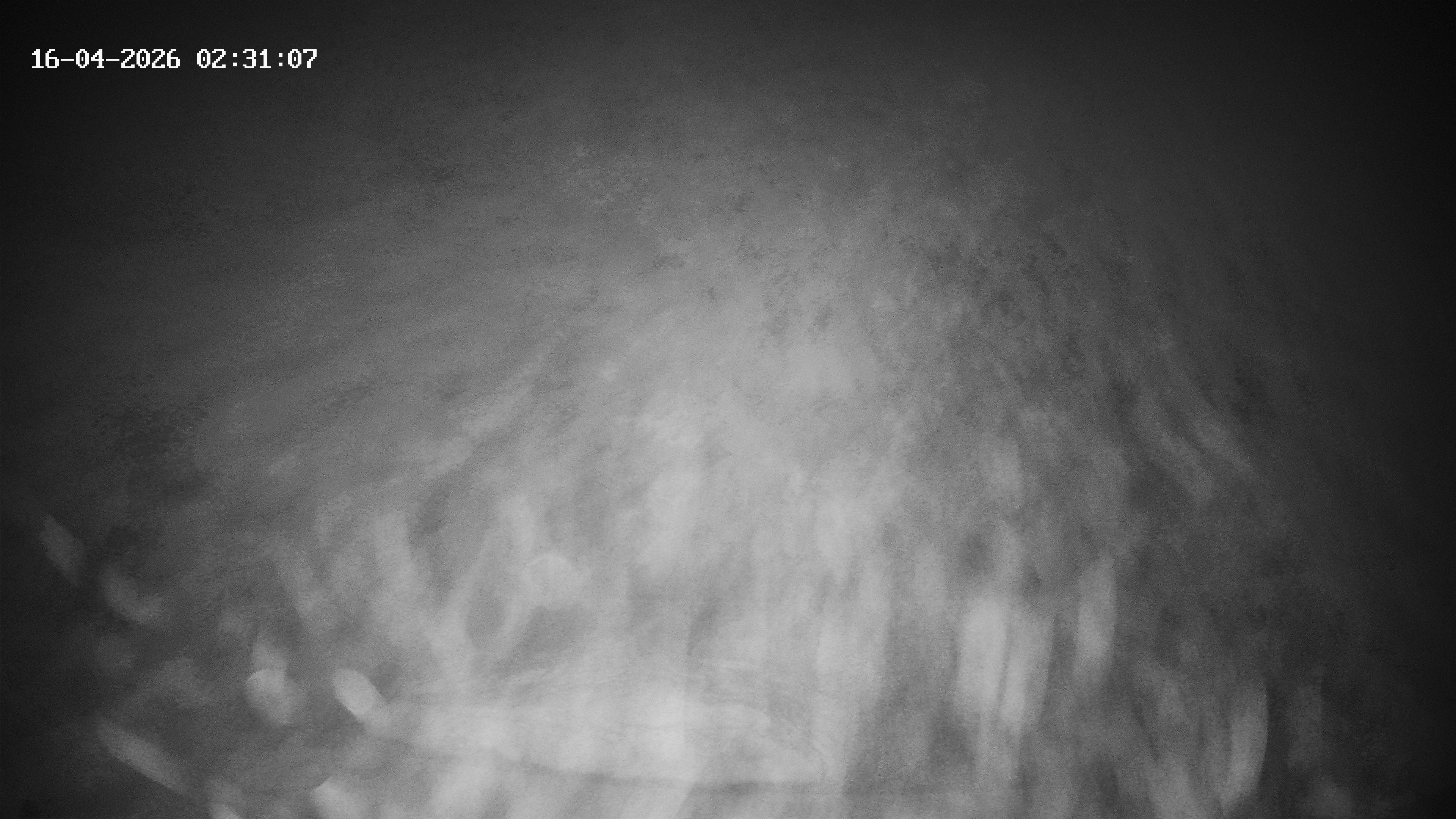 Archived image Webcam Hotel Adler at Warth