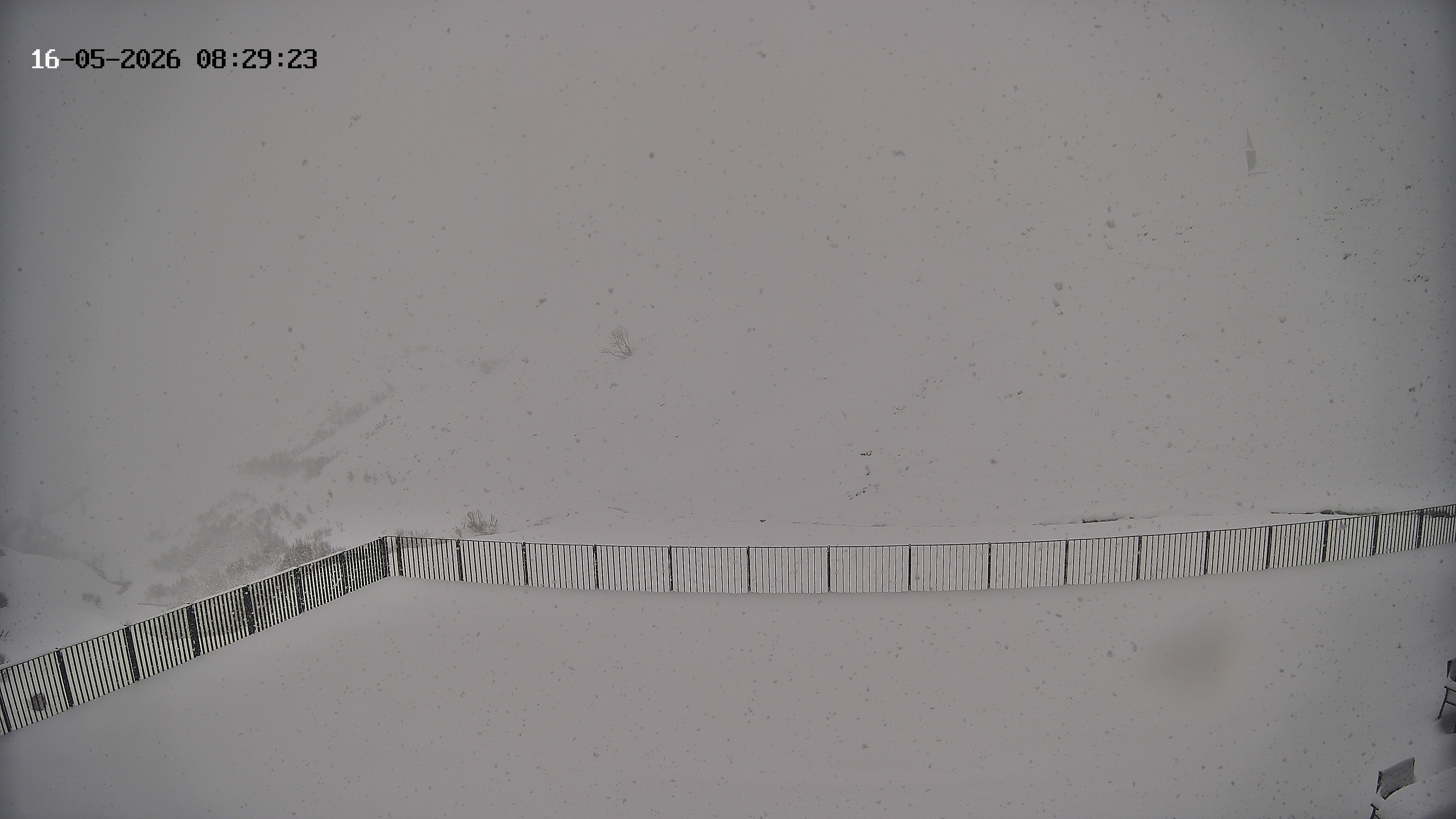 Archiv Foto Webcam Hotel Adler in Warth
