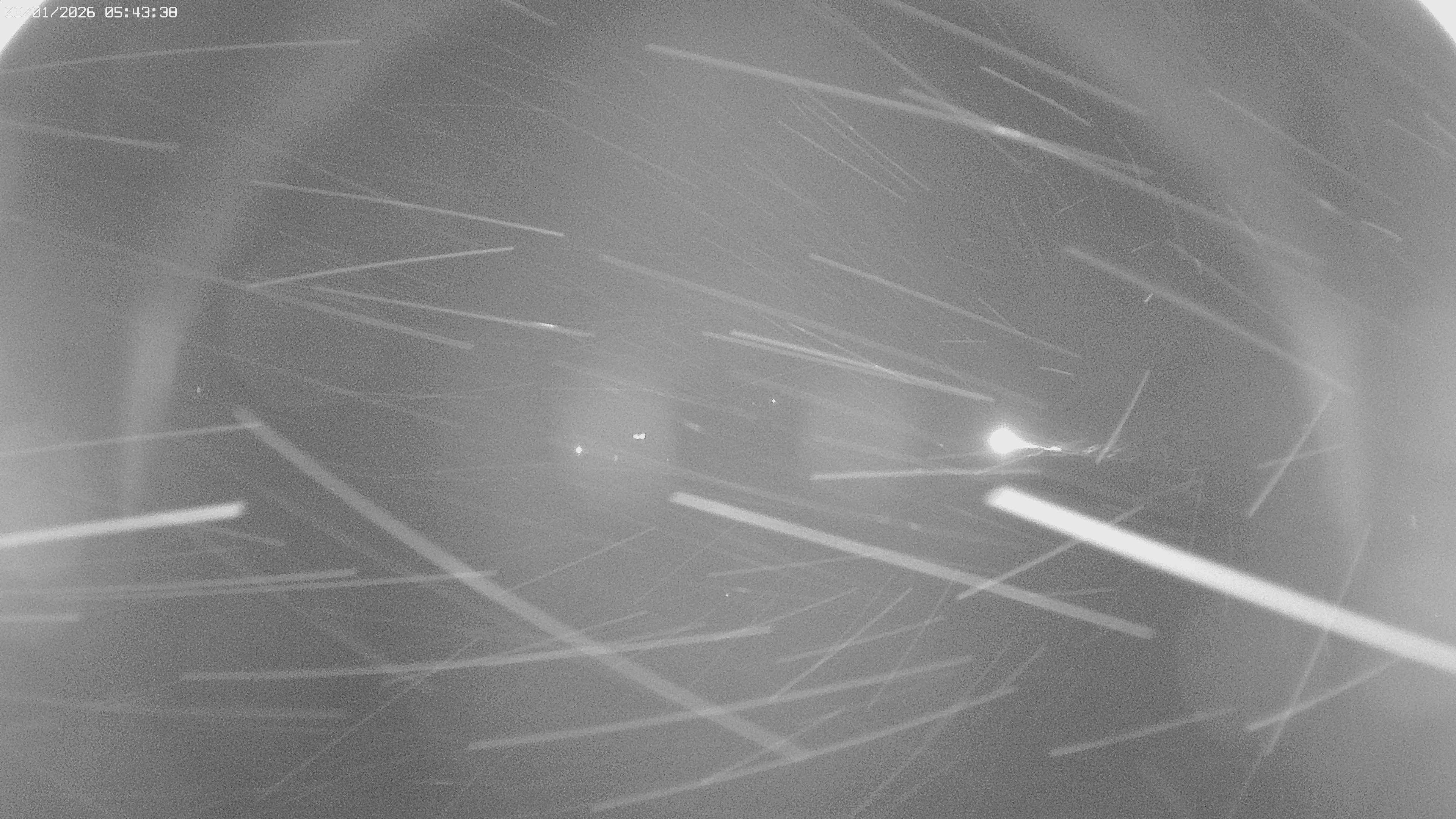 Archiv Foto Webcam Jägeralpe bei Warth