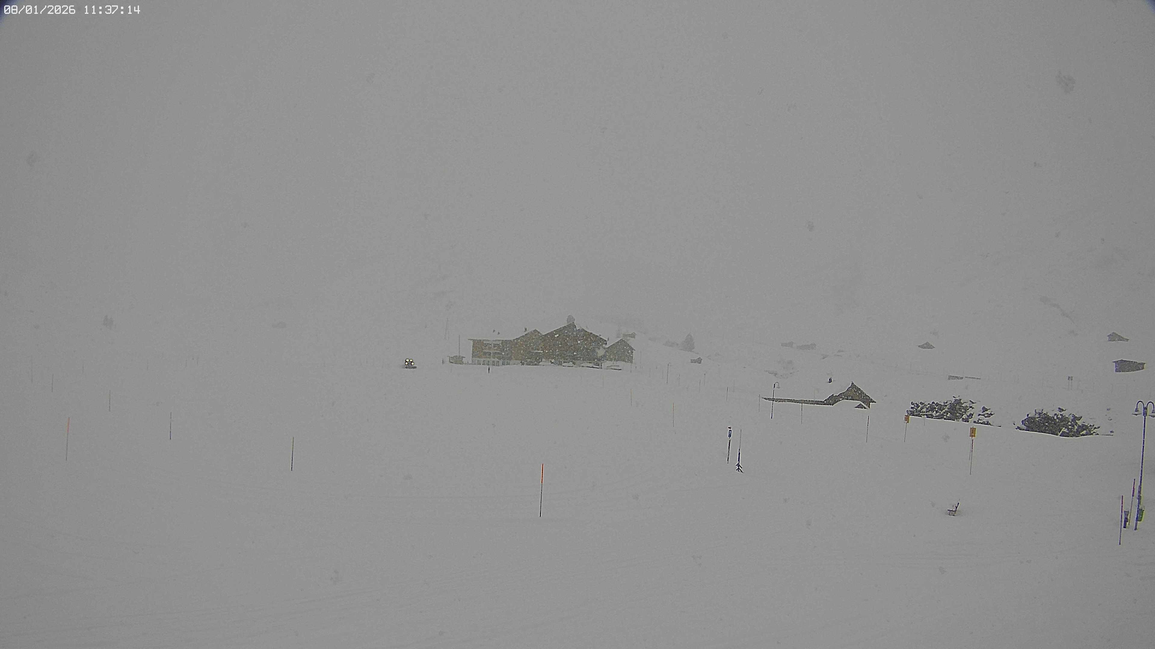 Archived image Webcam Jägeralpe near Warth