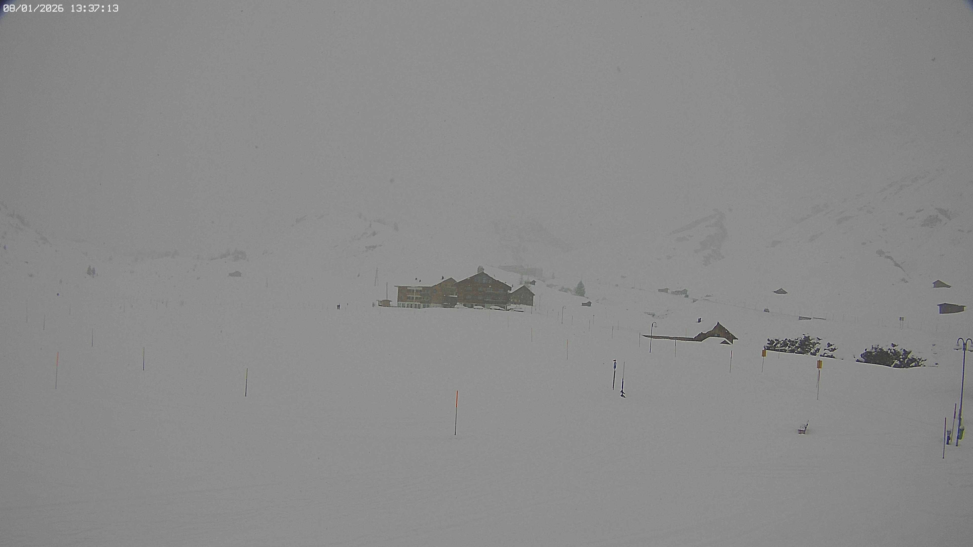 Archived image Webcam Jägeralpe near Warth