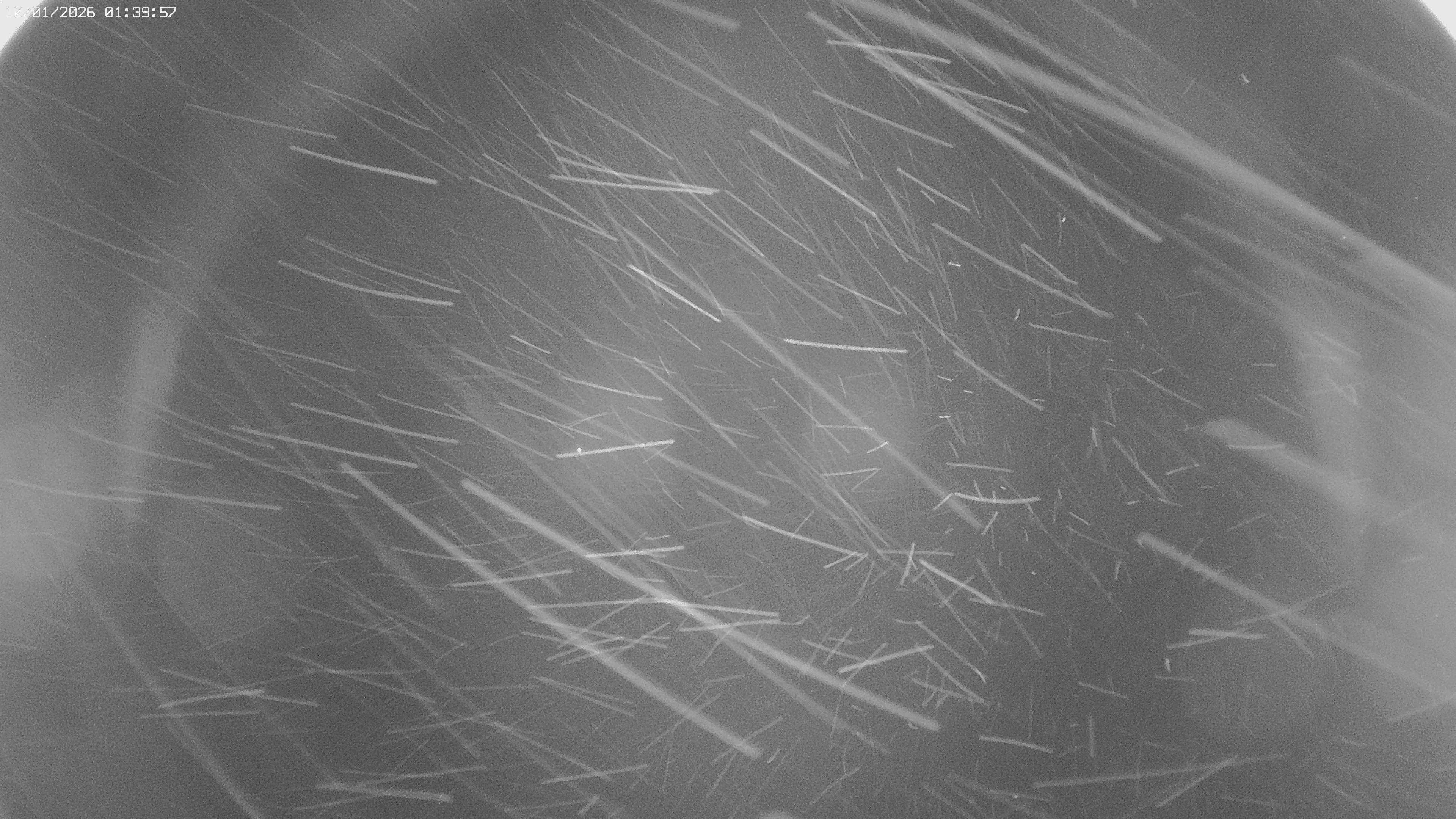 Archived image Webcam Jägeralpe near Warth