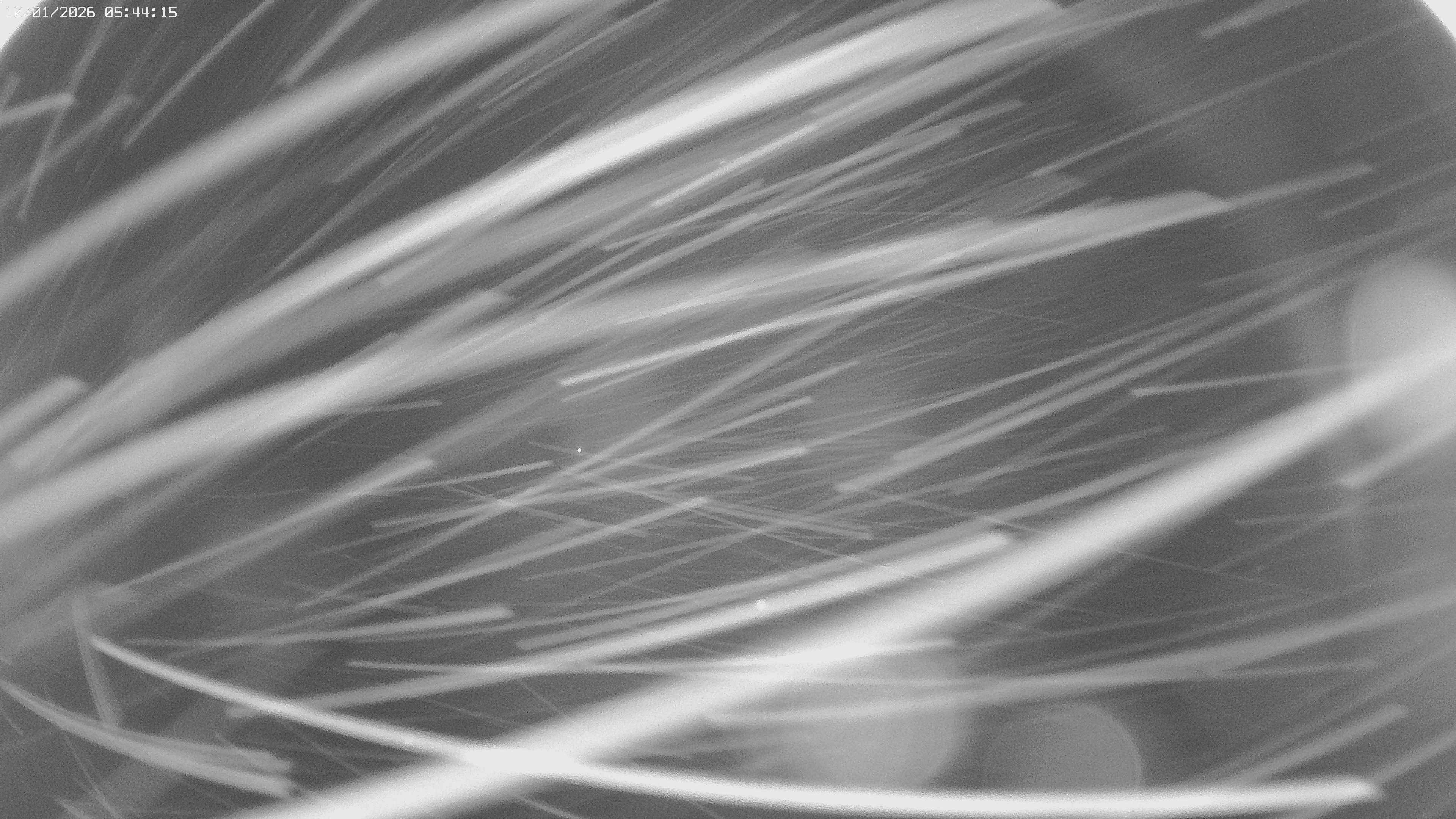 Archived image Webcam Jägeralpe near Warth