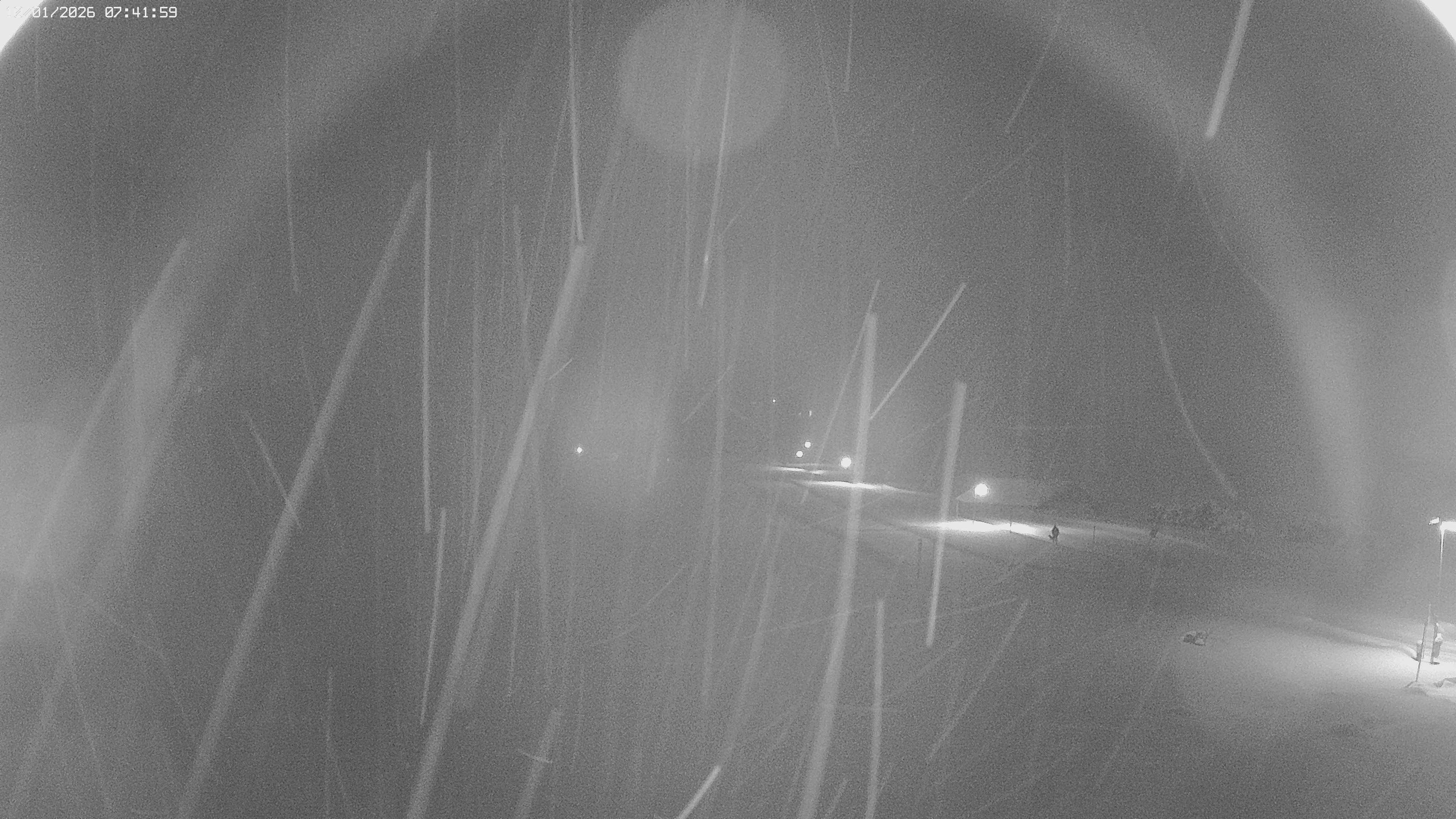 Archived image Webcam Jägeralpe near Warth