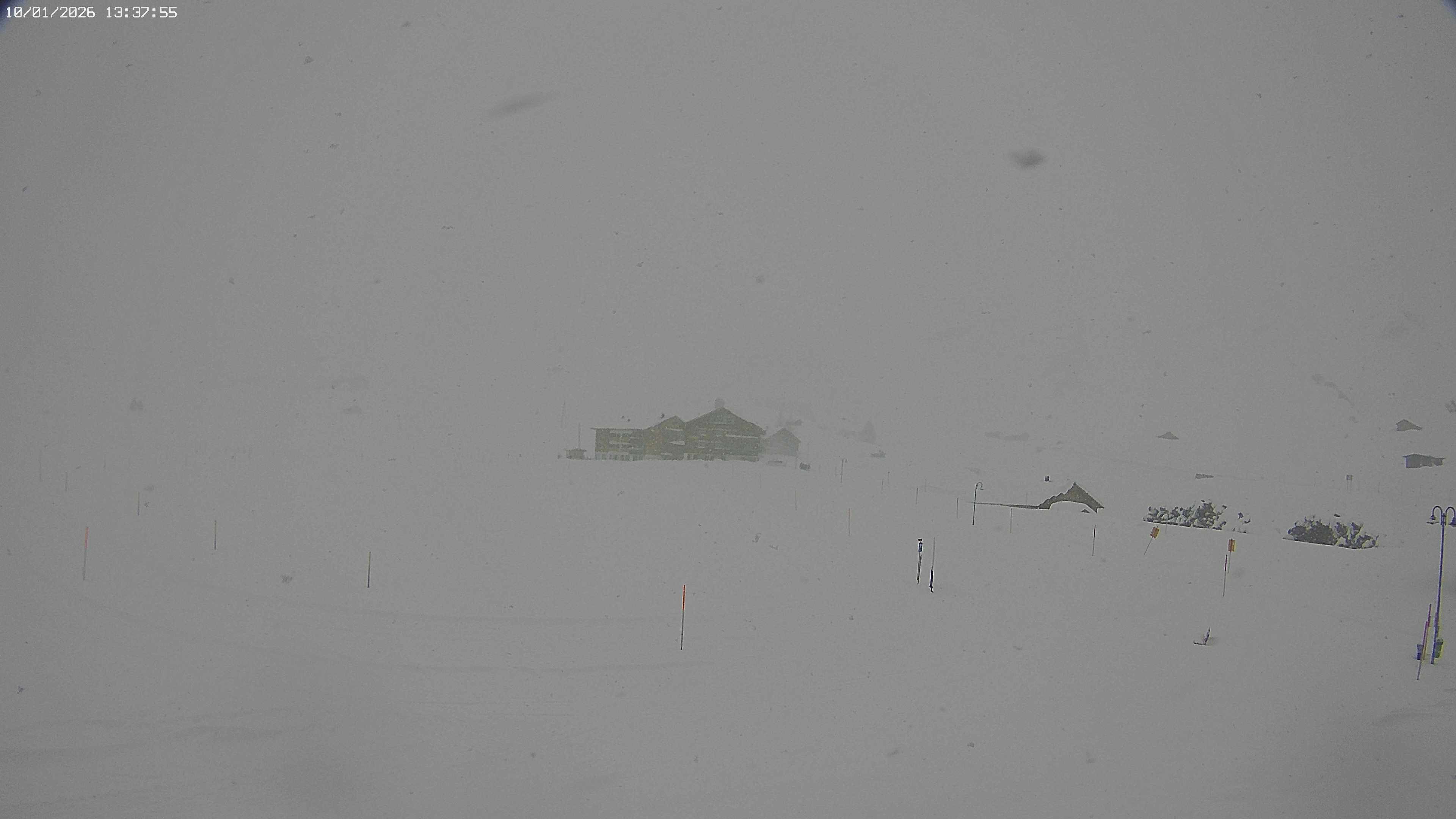 Archived image Webcam Jägeralpe near Warth