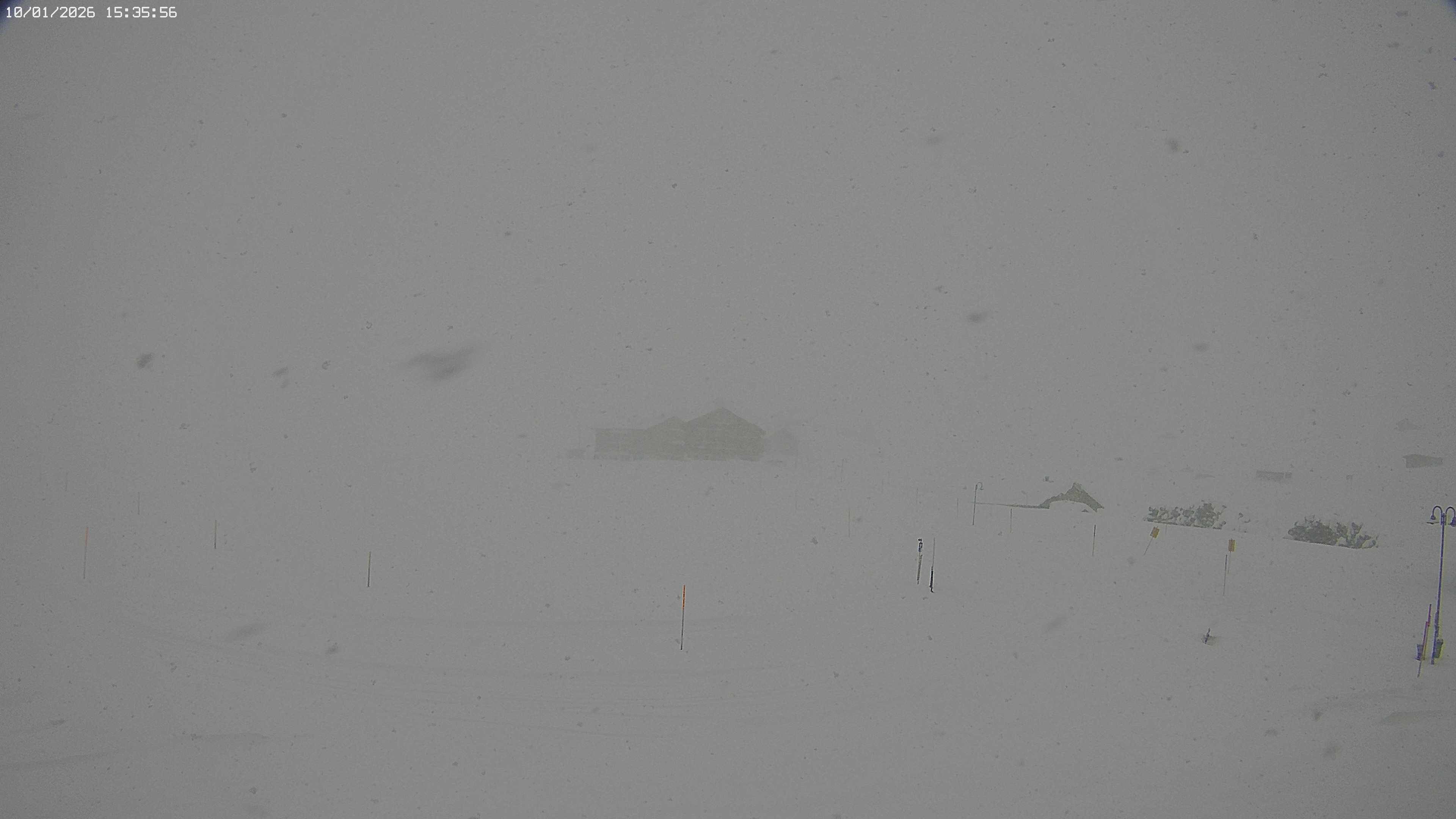 Archived image Webcam Jägeralpe near Warth