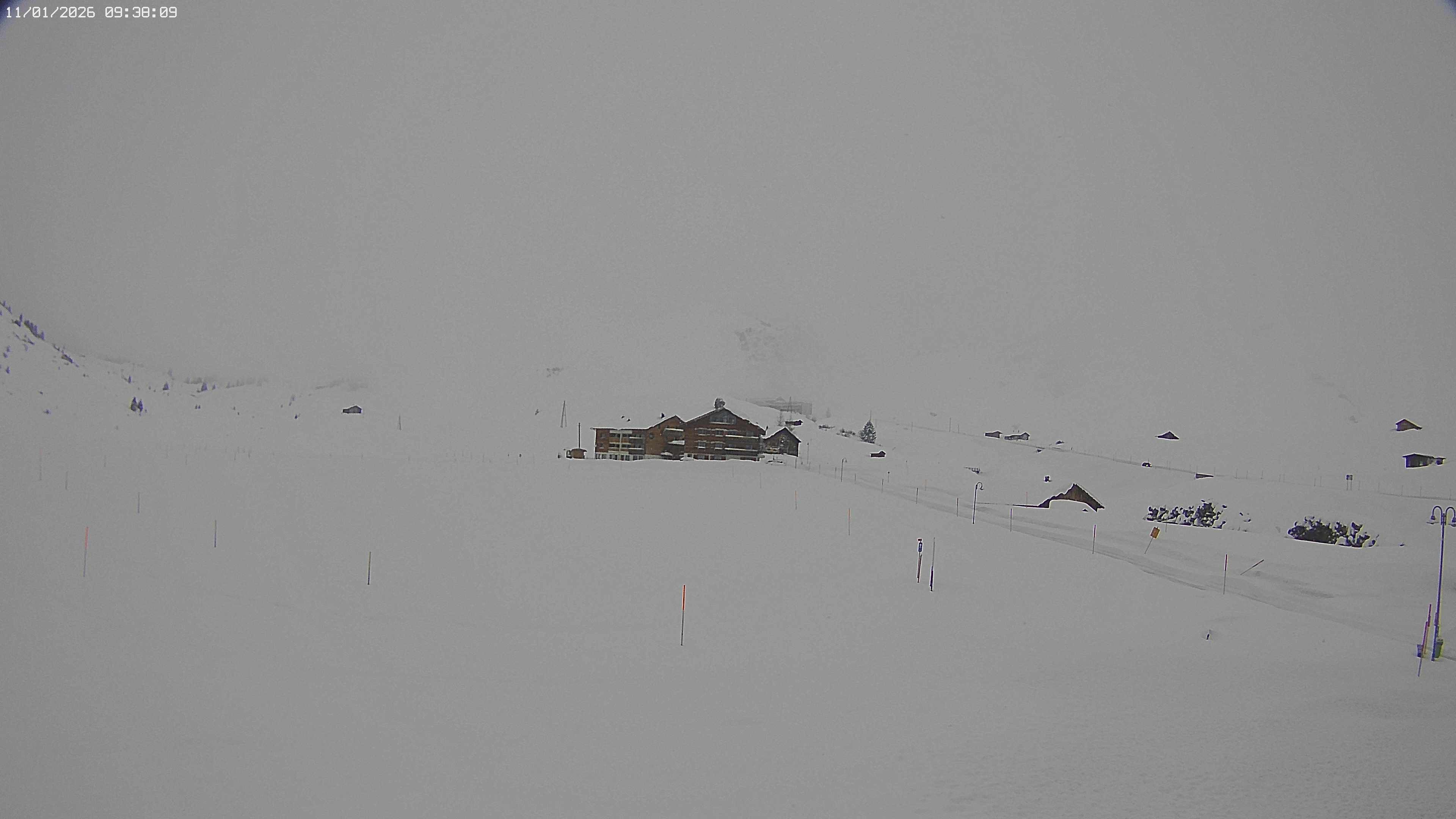 Archiv Foto Webcam Jägeralpe bei Warth