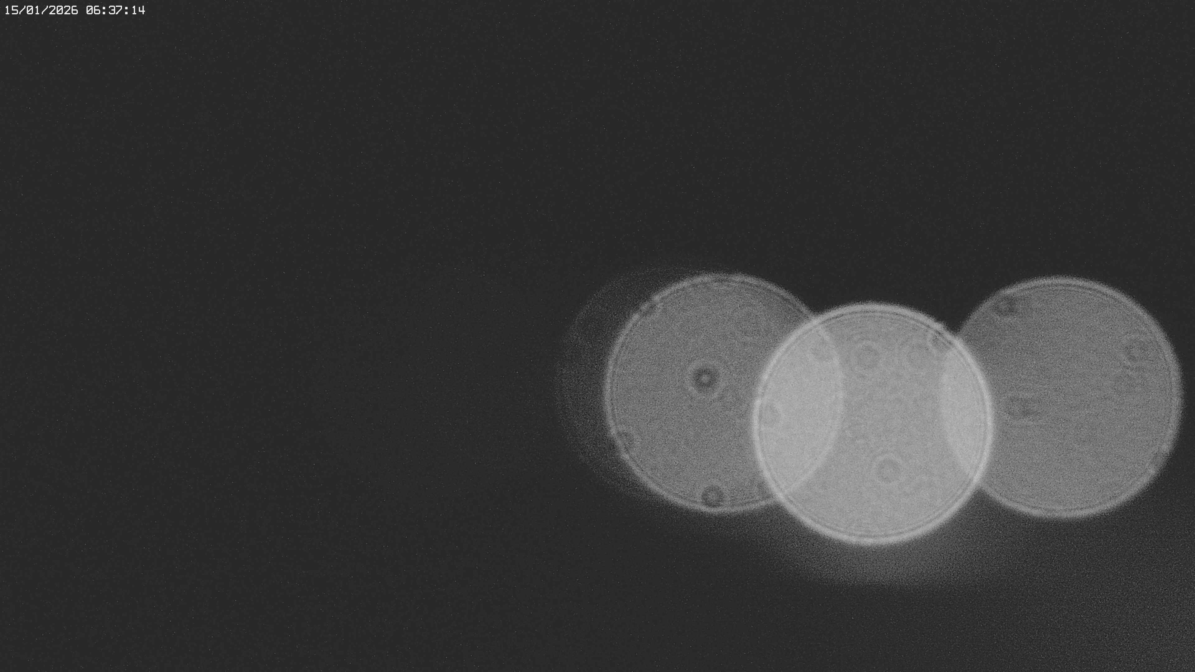 Archiv Foto Webcam Jägeralpe bei Warth