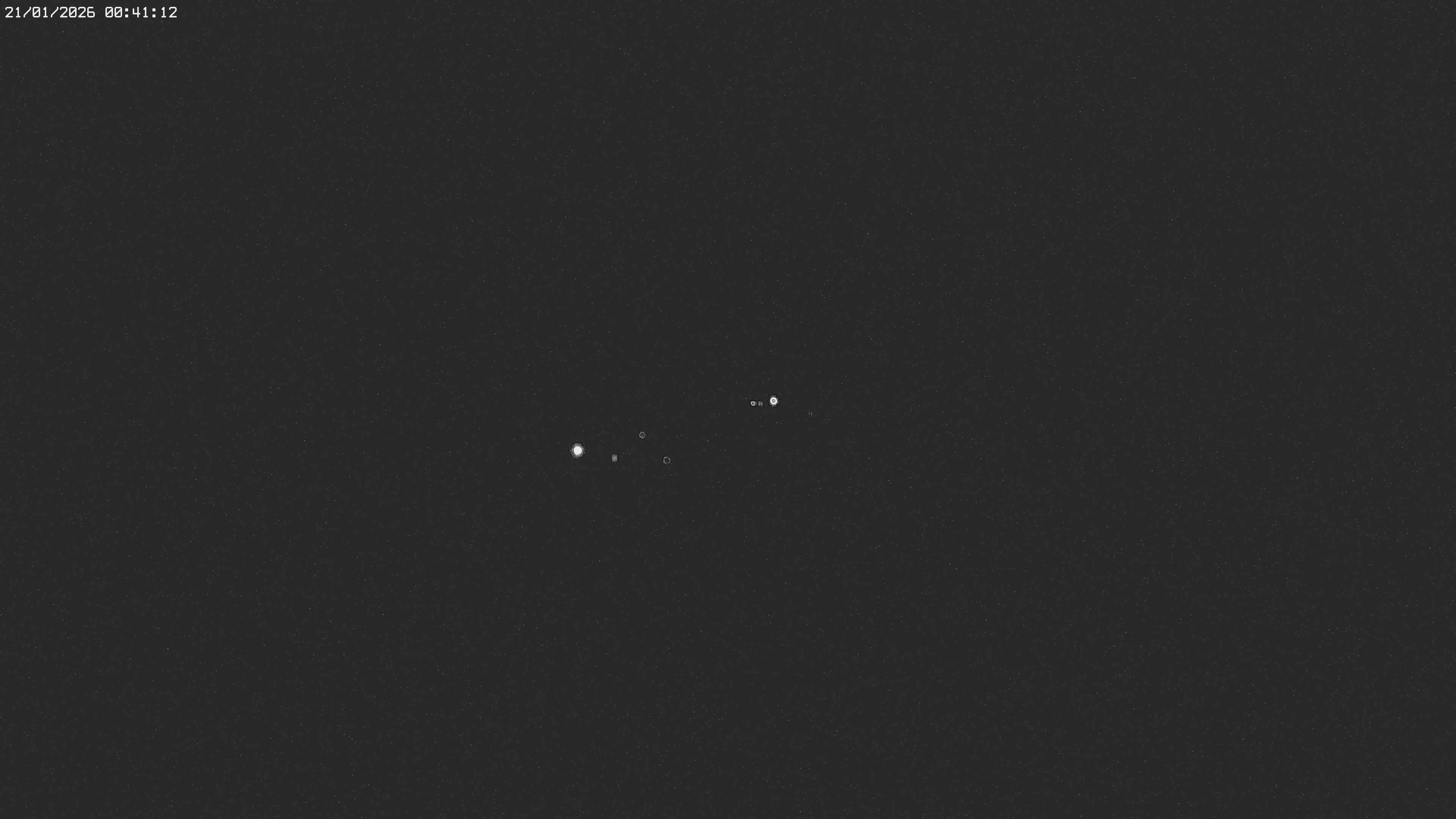 Archived image Webcam Jägeralpe near Warth