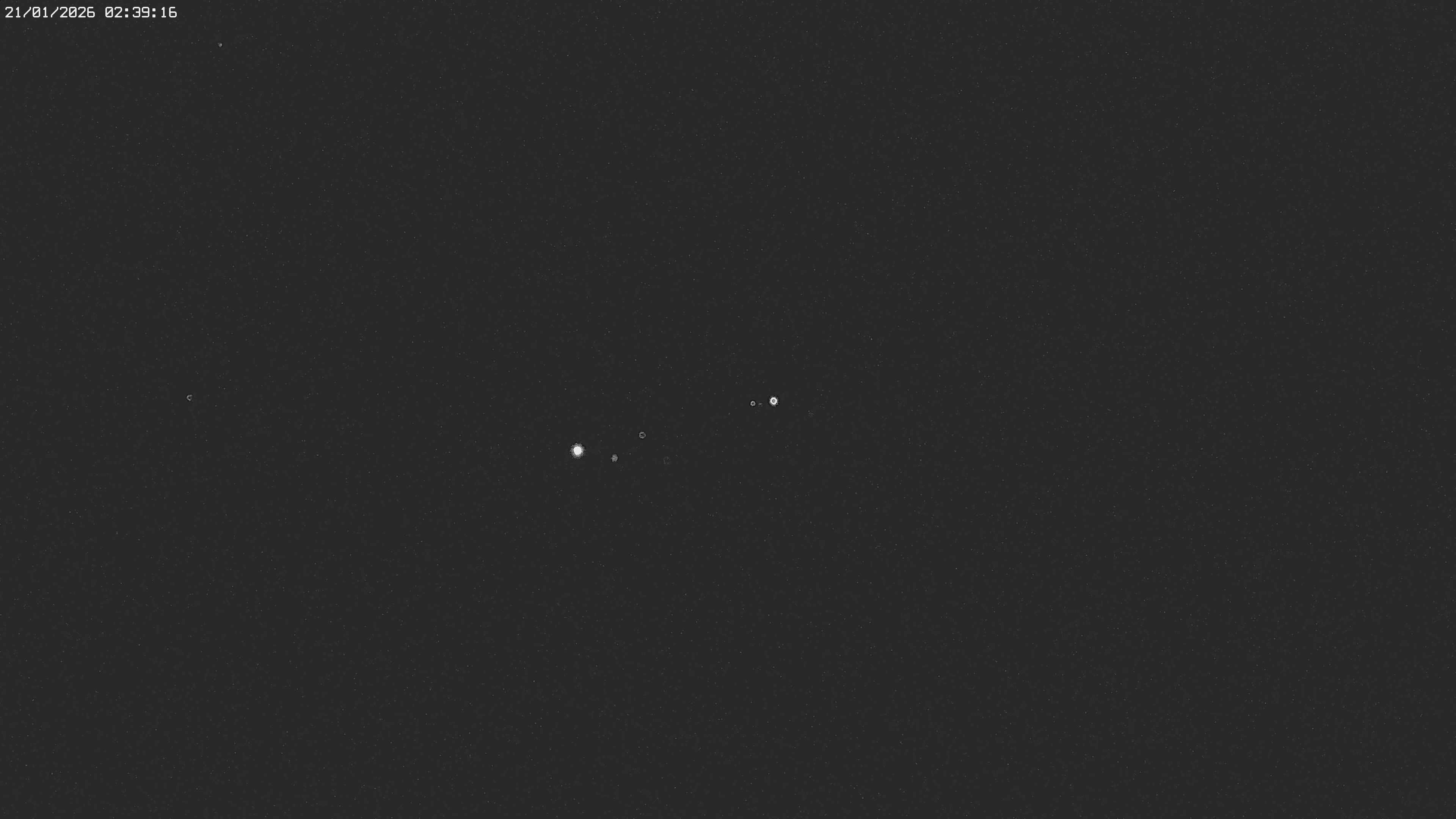 Archived image Webcam Jägeralpe near Warth