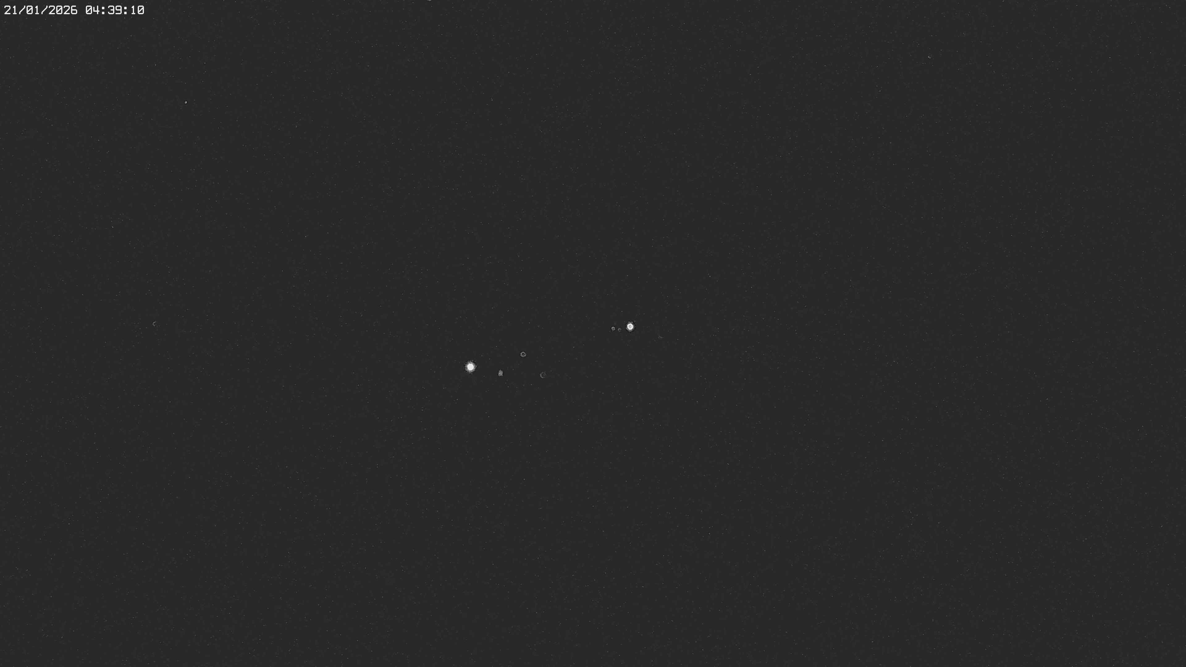 Archived image Webcam Jägeralpe near Warth