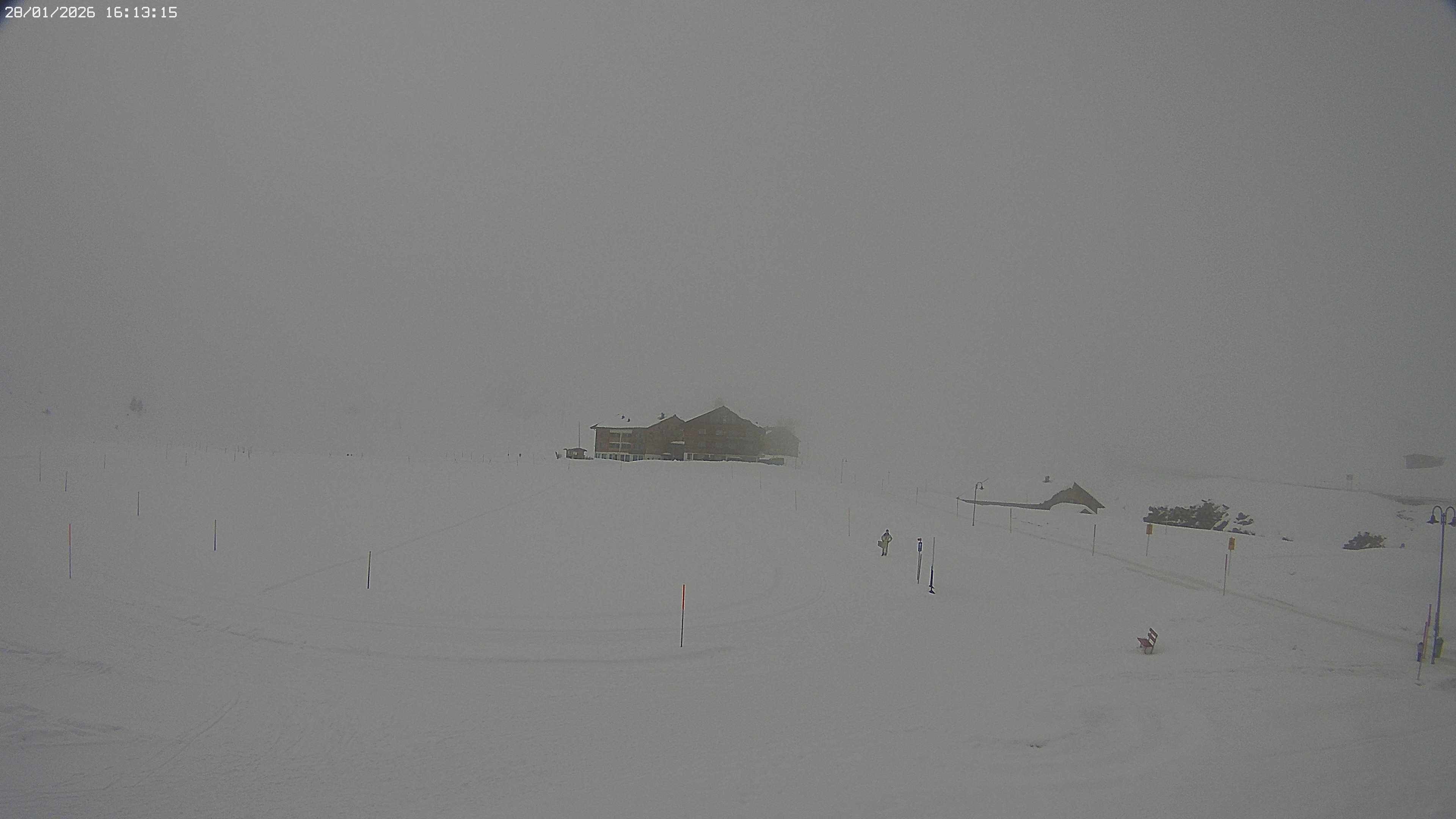 Archiv Foto Webcam Jägeralpe bei Warth