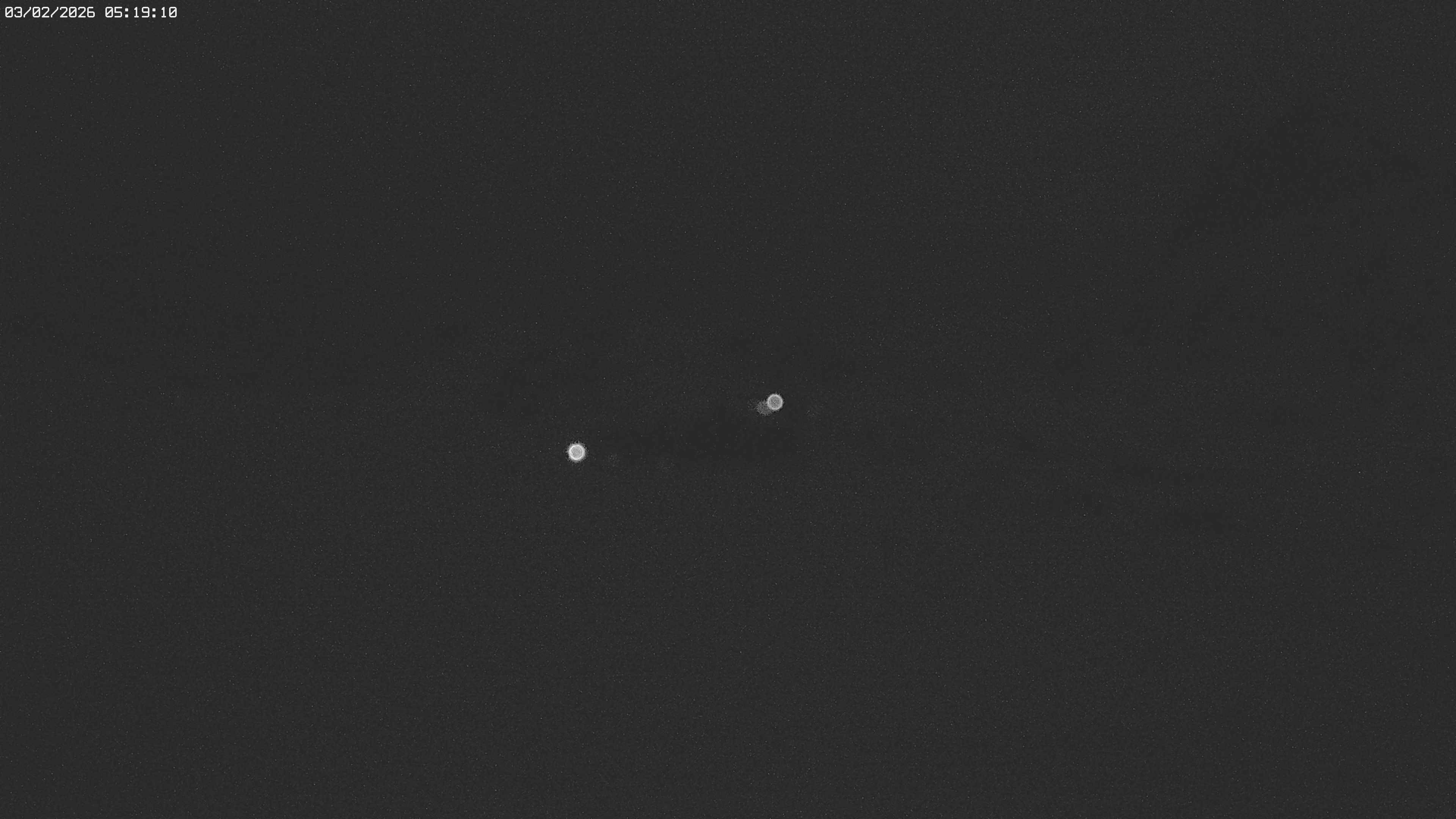 Archiv Foto Webcam Jägeralpe bei Warth