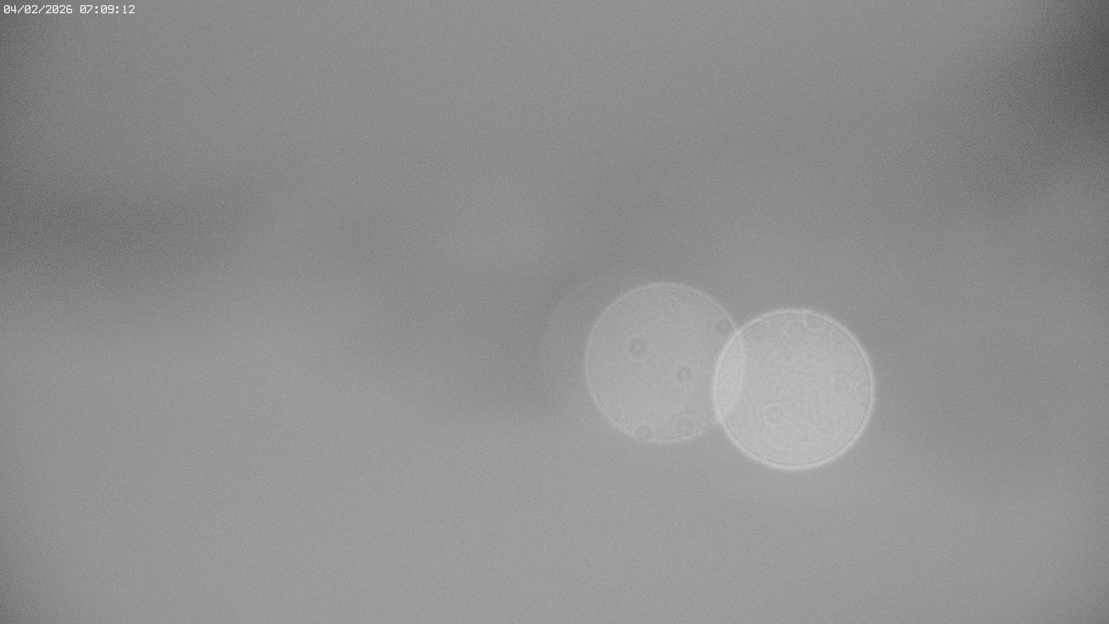 Archiv Foto Webcam Jägeralpe bei Warth