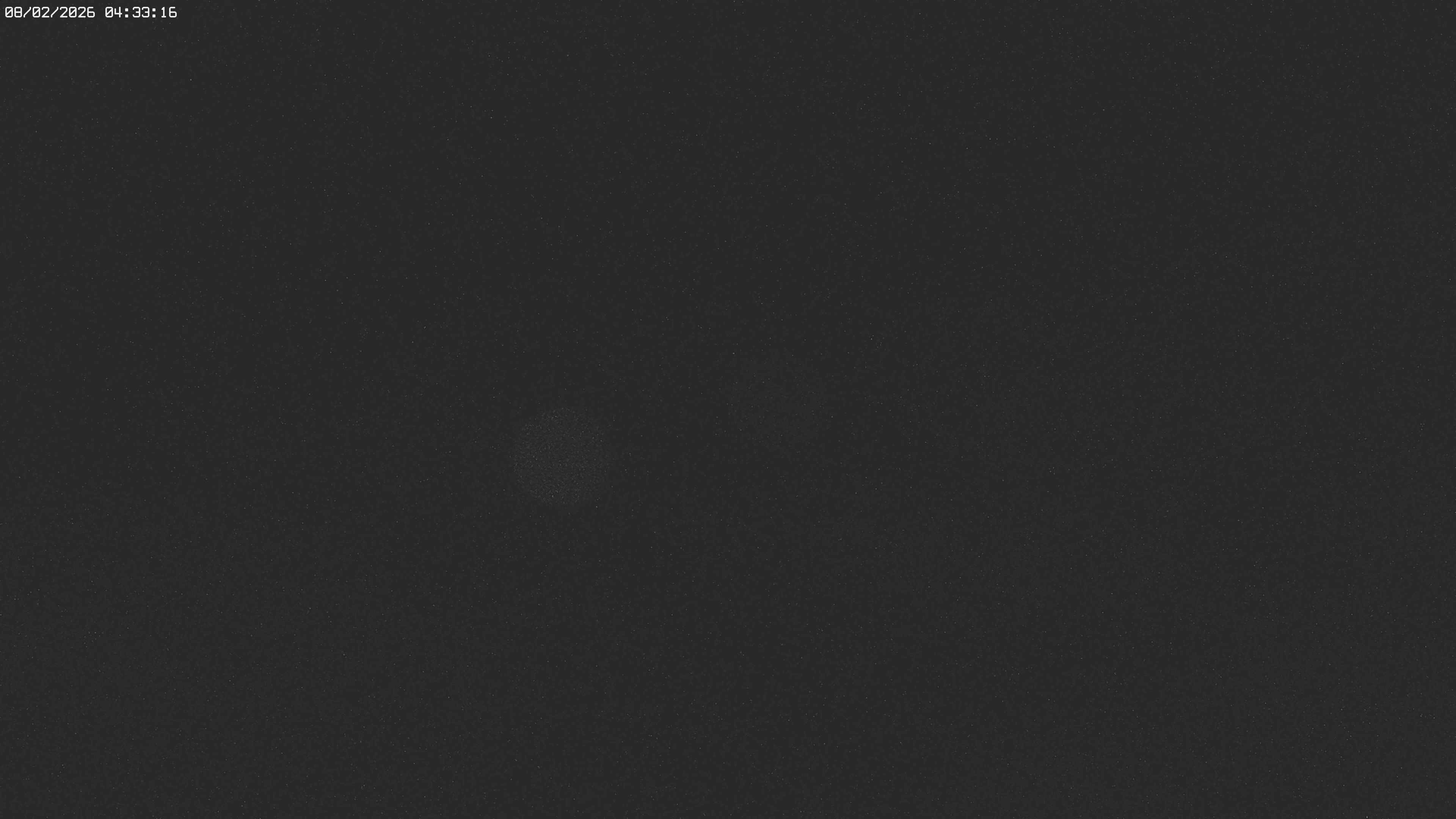 Archived image Webcam Jägeralpe near Warth