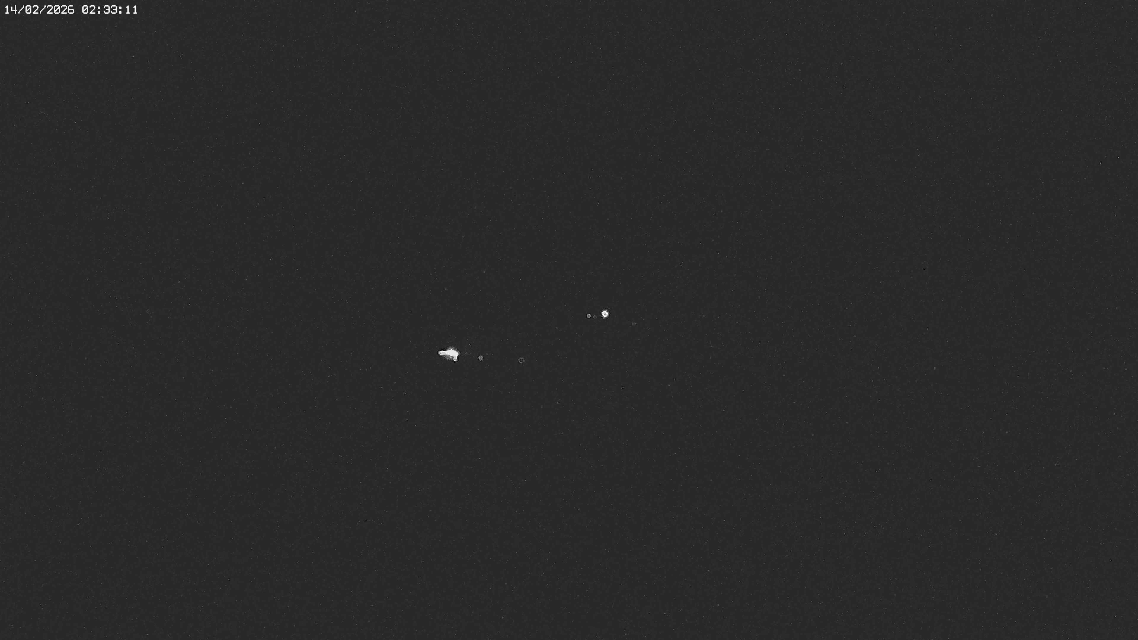 Archived image Webcam Jägeralpe near Warth