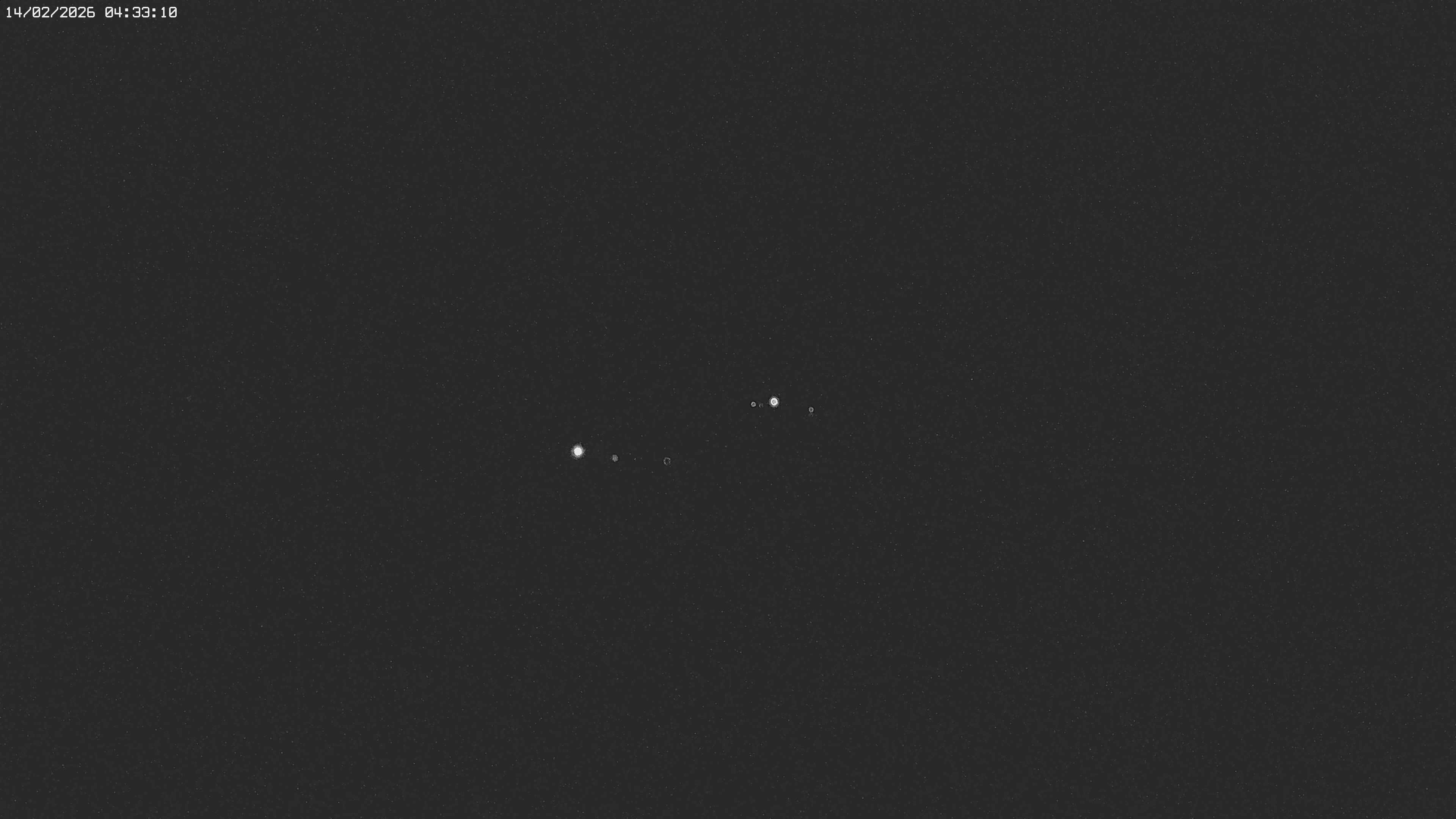 Archived image Webcam Jägeralpe near Warth