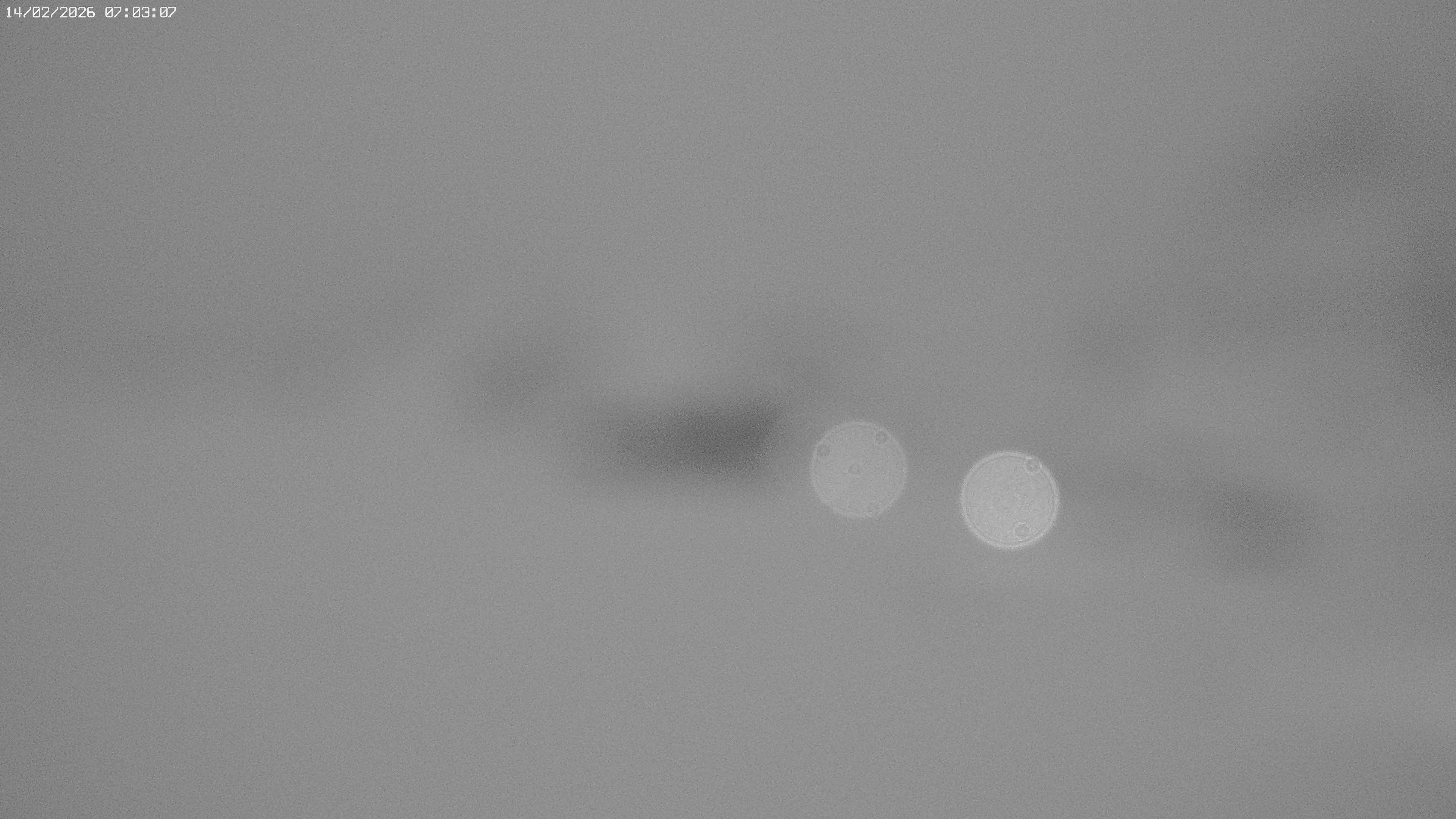 Archived image Webcam Jägeralpe near Warth