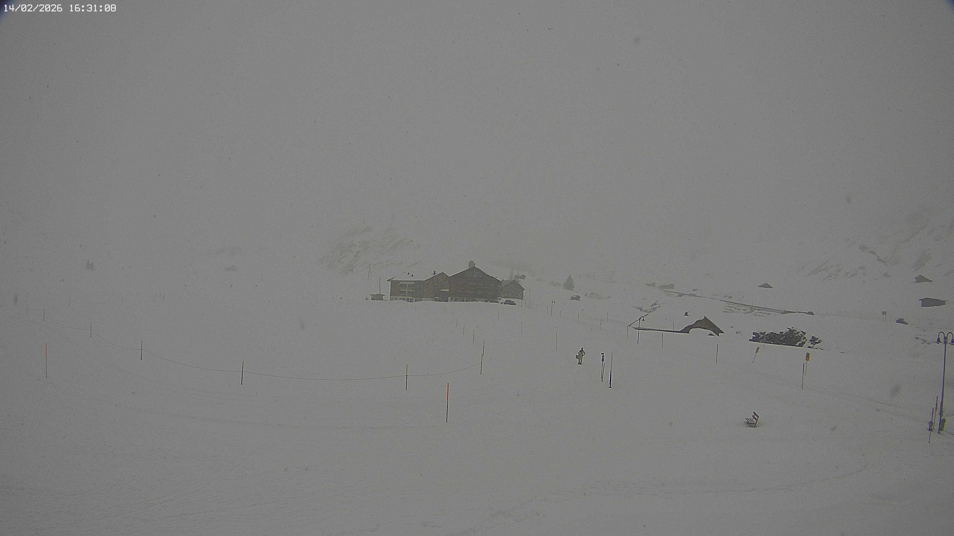 Archived image Webcam Jägeralpe near Warth