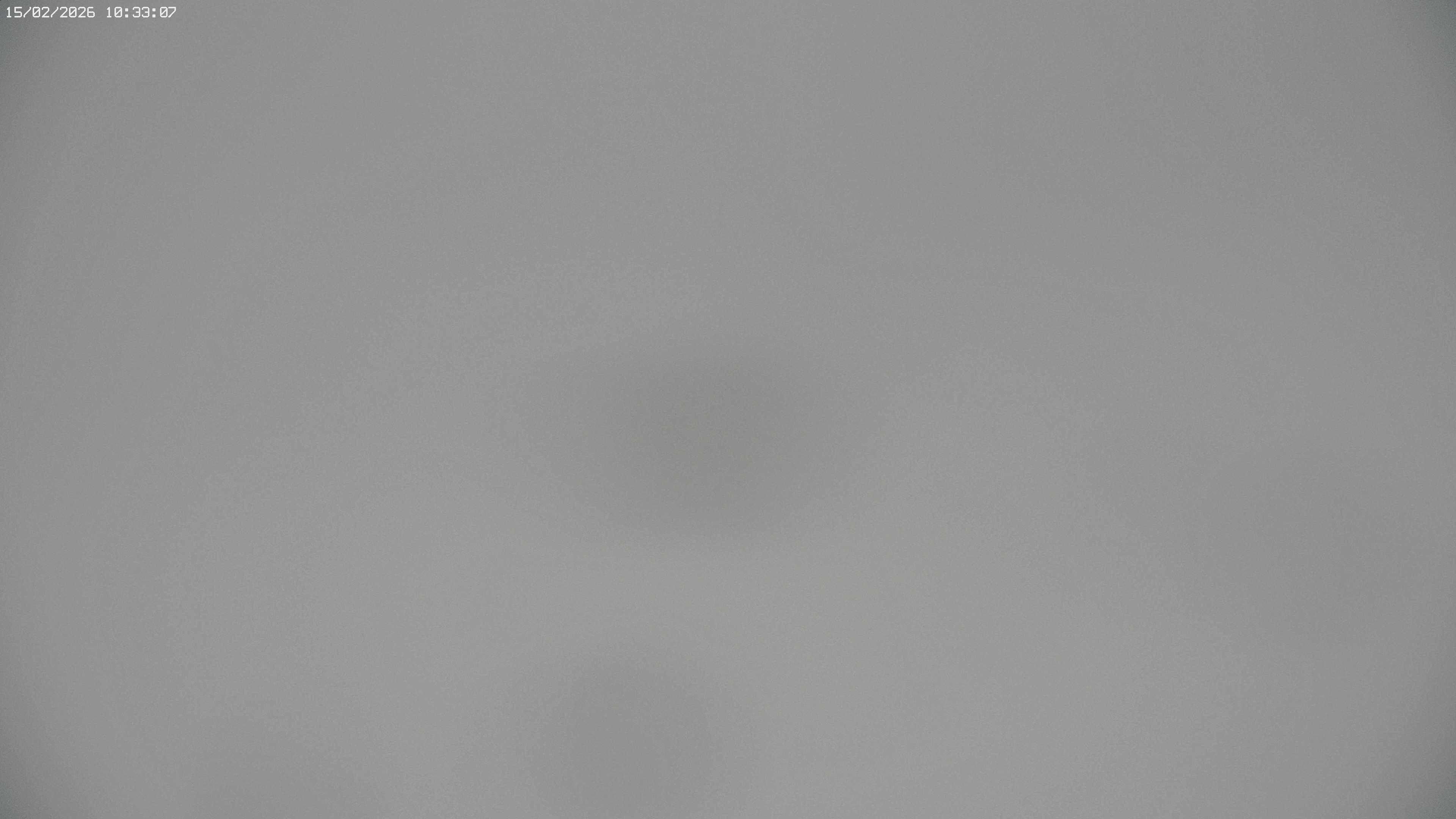 Archived image Webcam Jägeralpe near Warth