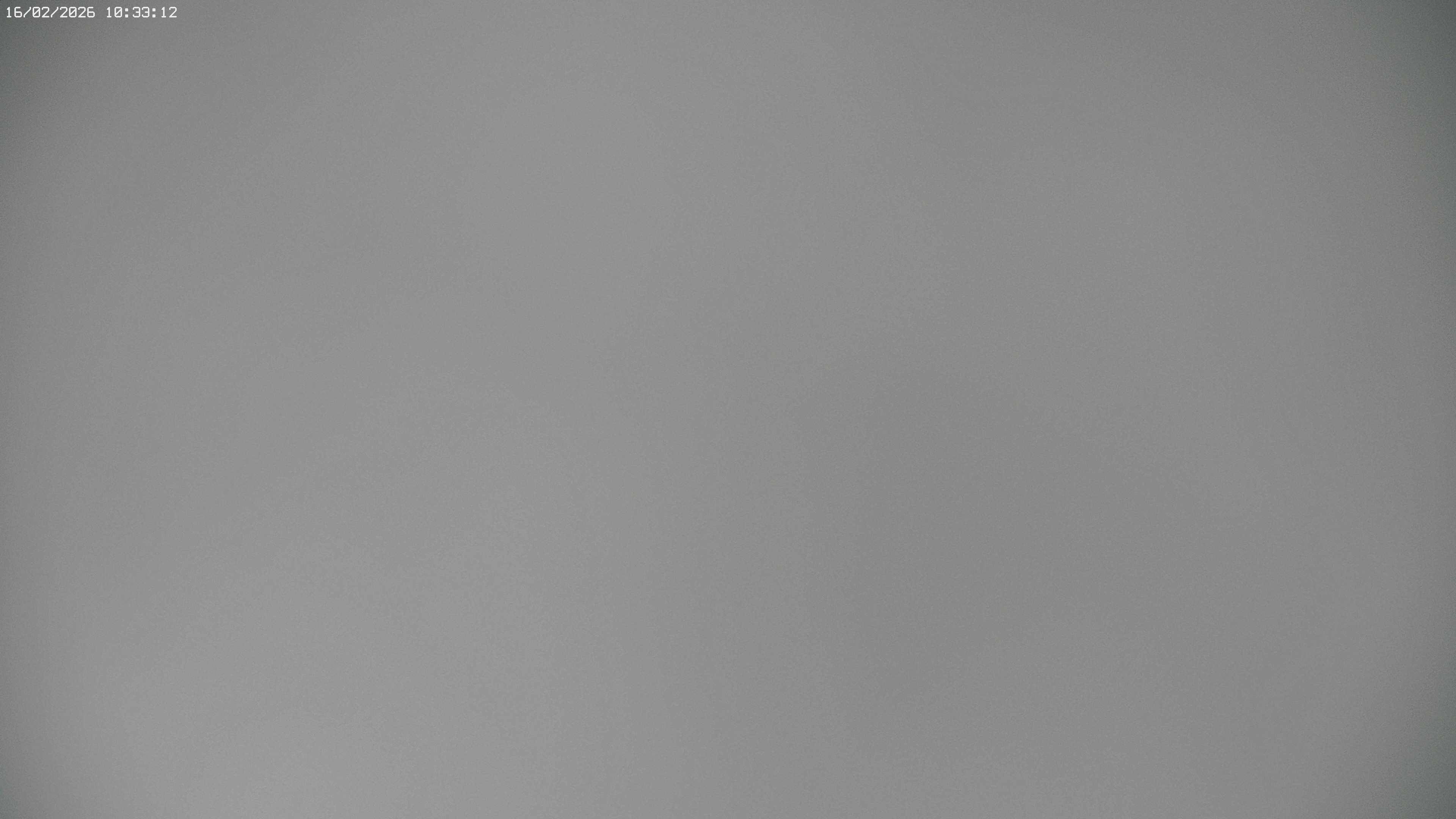 Archived image Webcam Jägeralpe near Warth