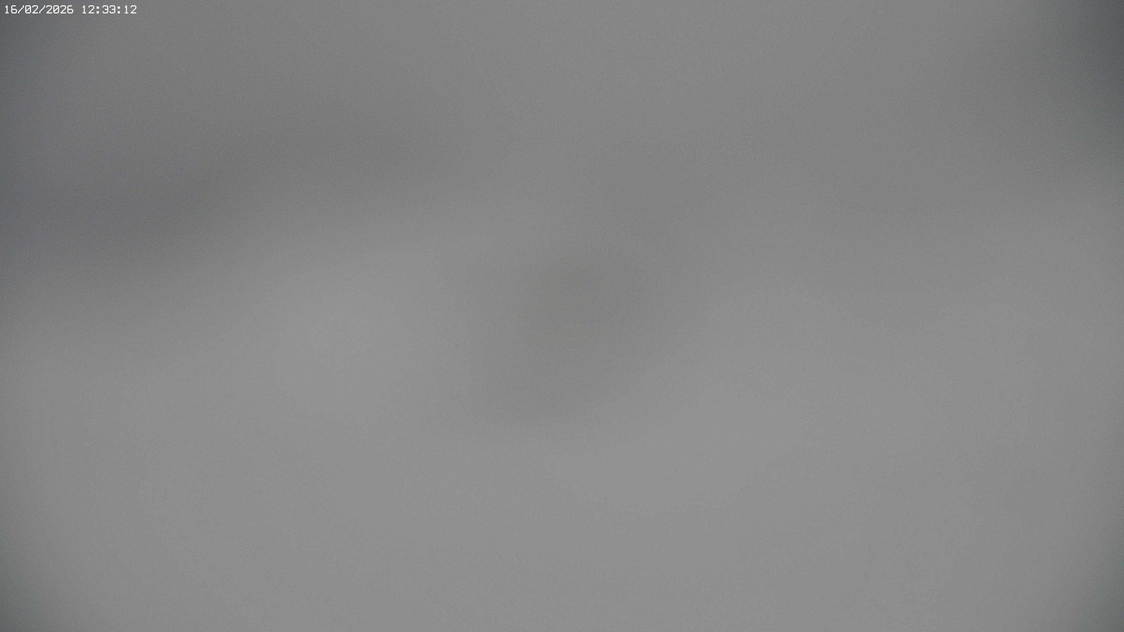 Archived image Webcam Jägeralpe near Warth