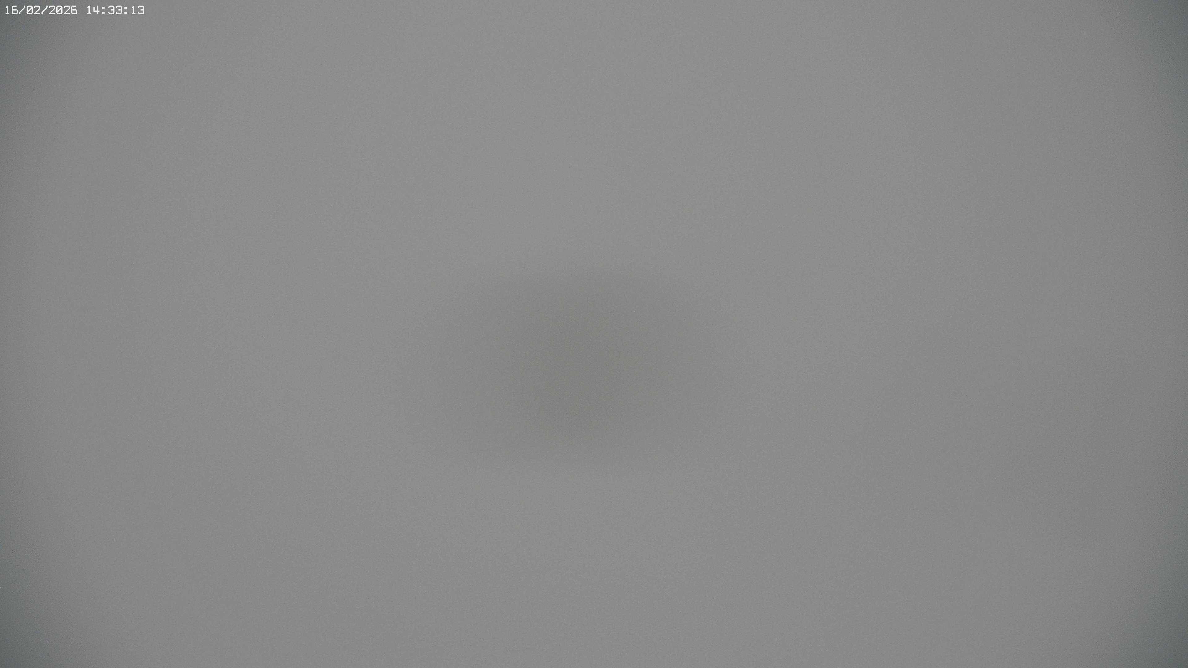 Archived image Webcam Jägeralpe near Warth