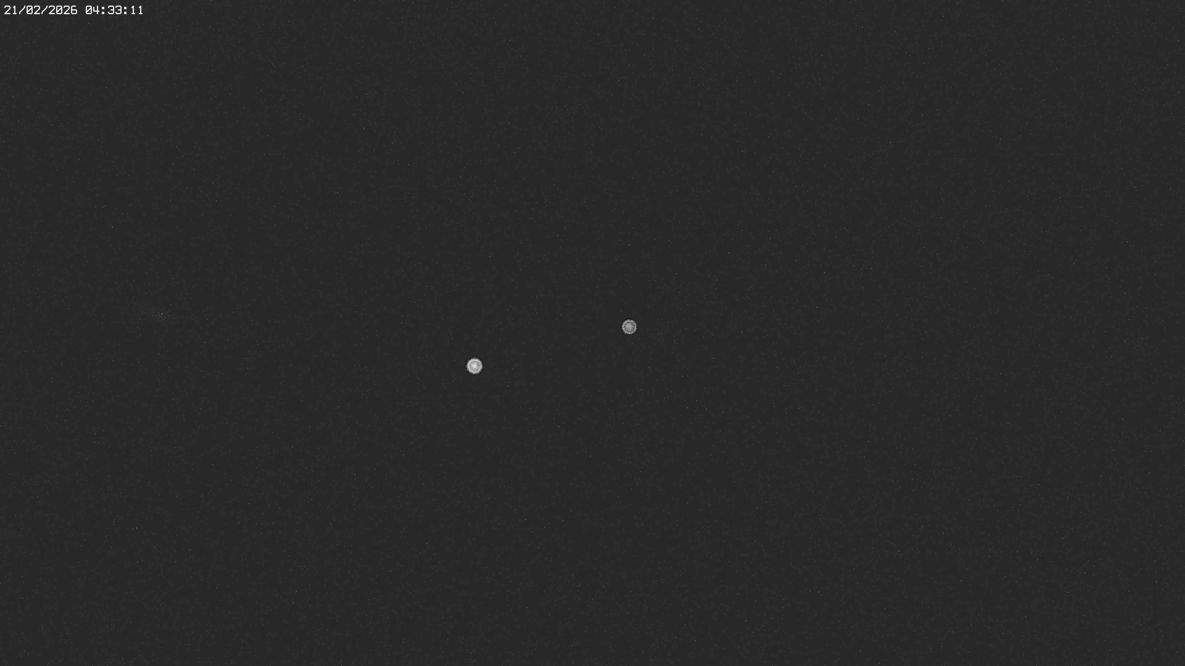 Archived image Webcam Jägeralpe near Warth