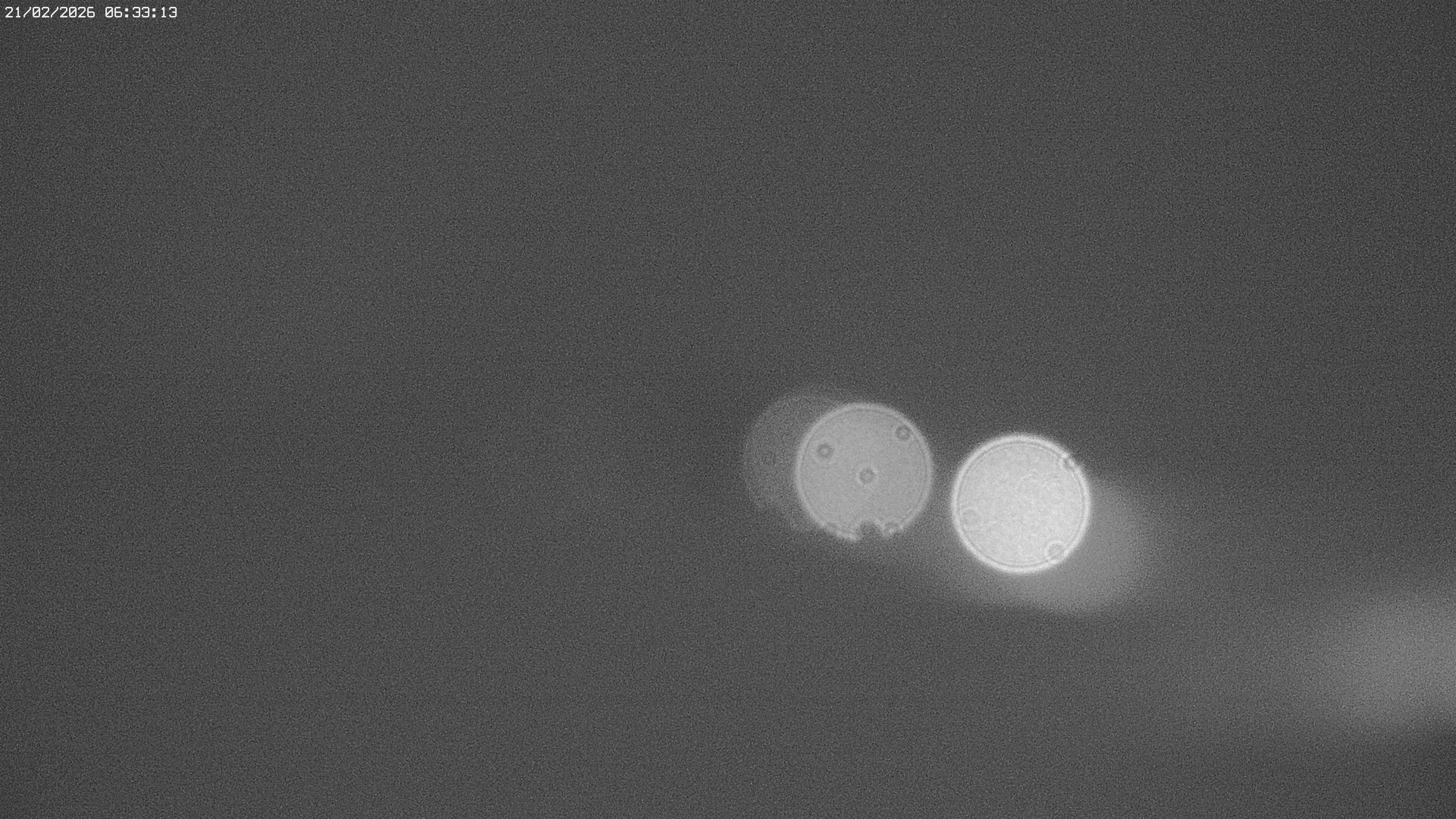 Archiv Foto Webcam Jägeralpe bei Warth