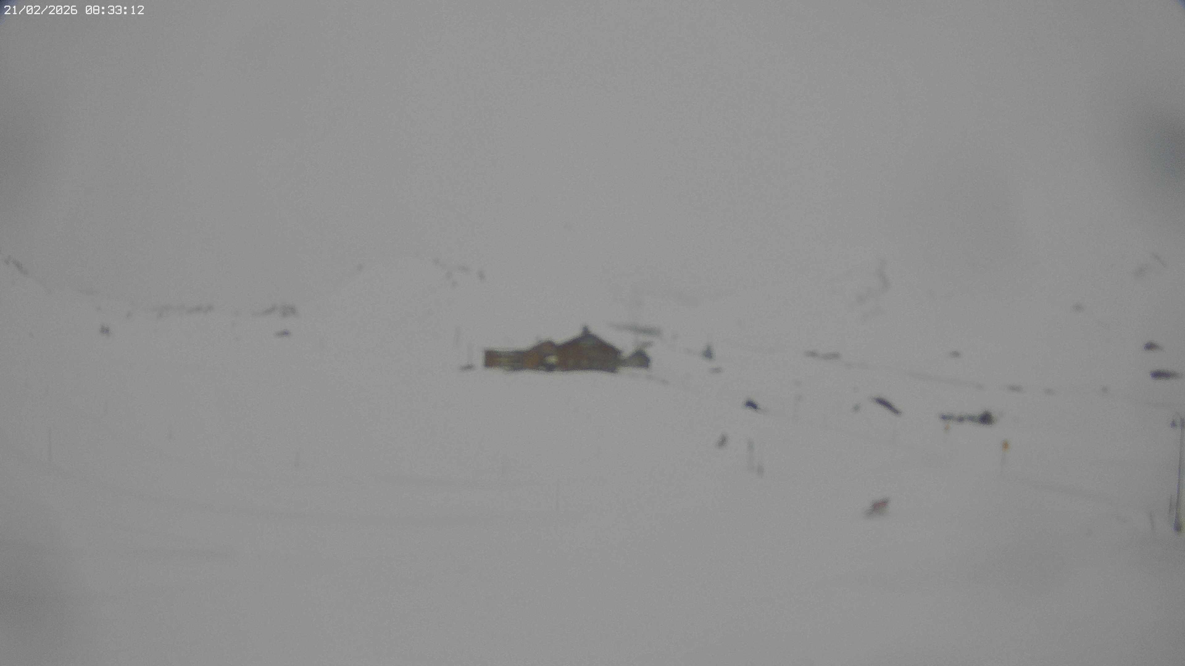 Archiv Foto Webcam Jägeralpe bei Warth