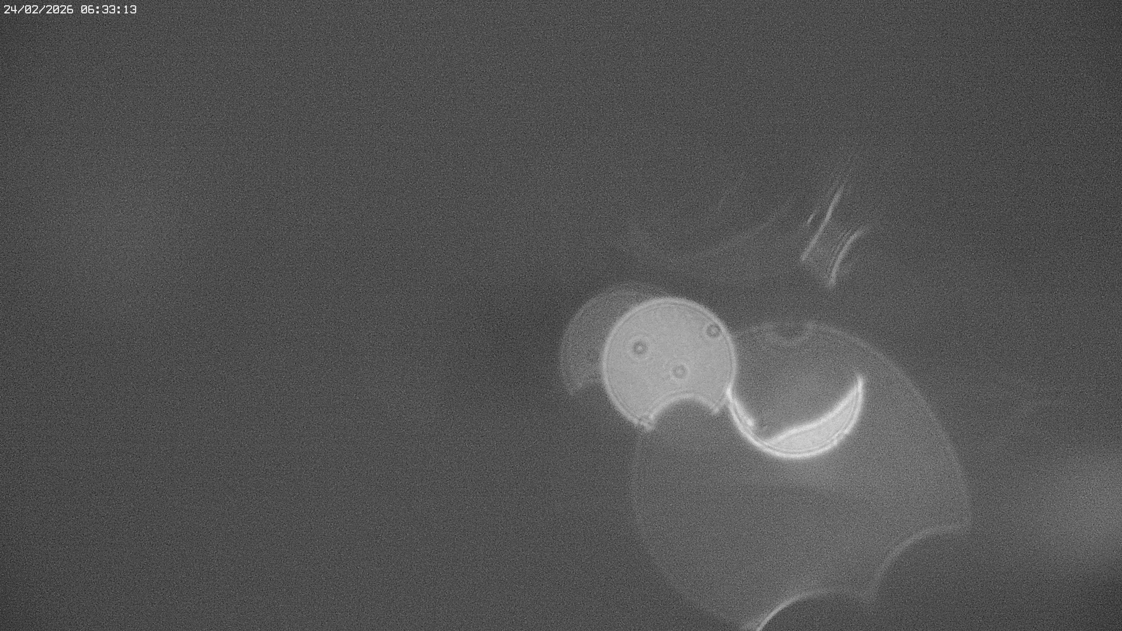 Archiv Foto Webcam Jägeralpe bei Warth