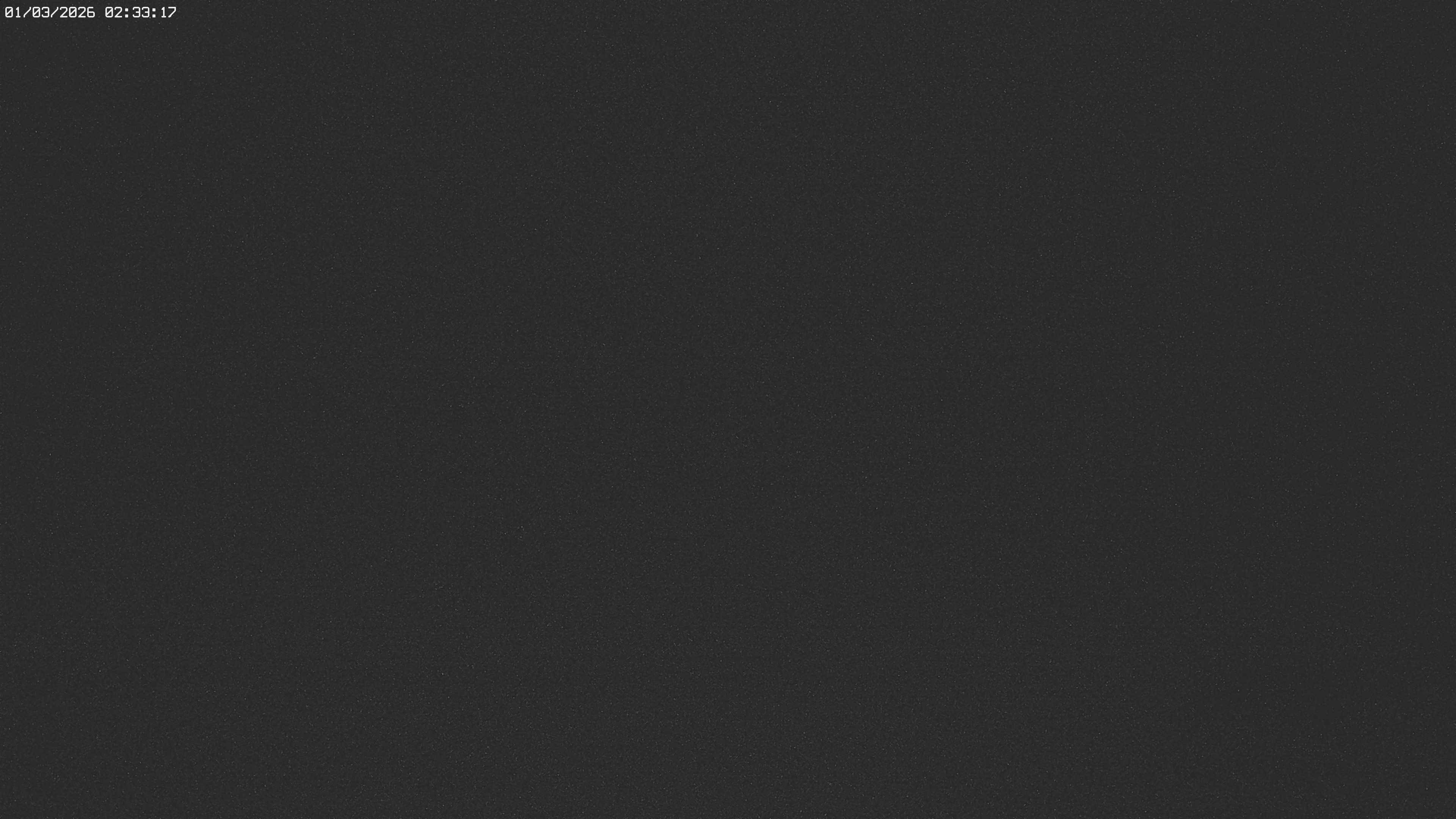 Archived image Webcam Jägeralpe near Warth