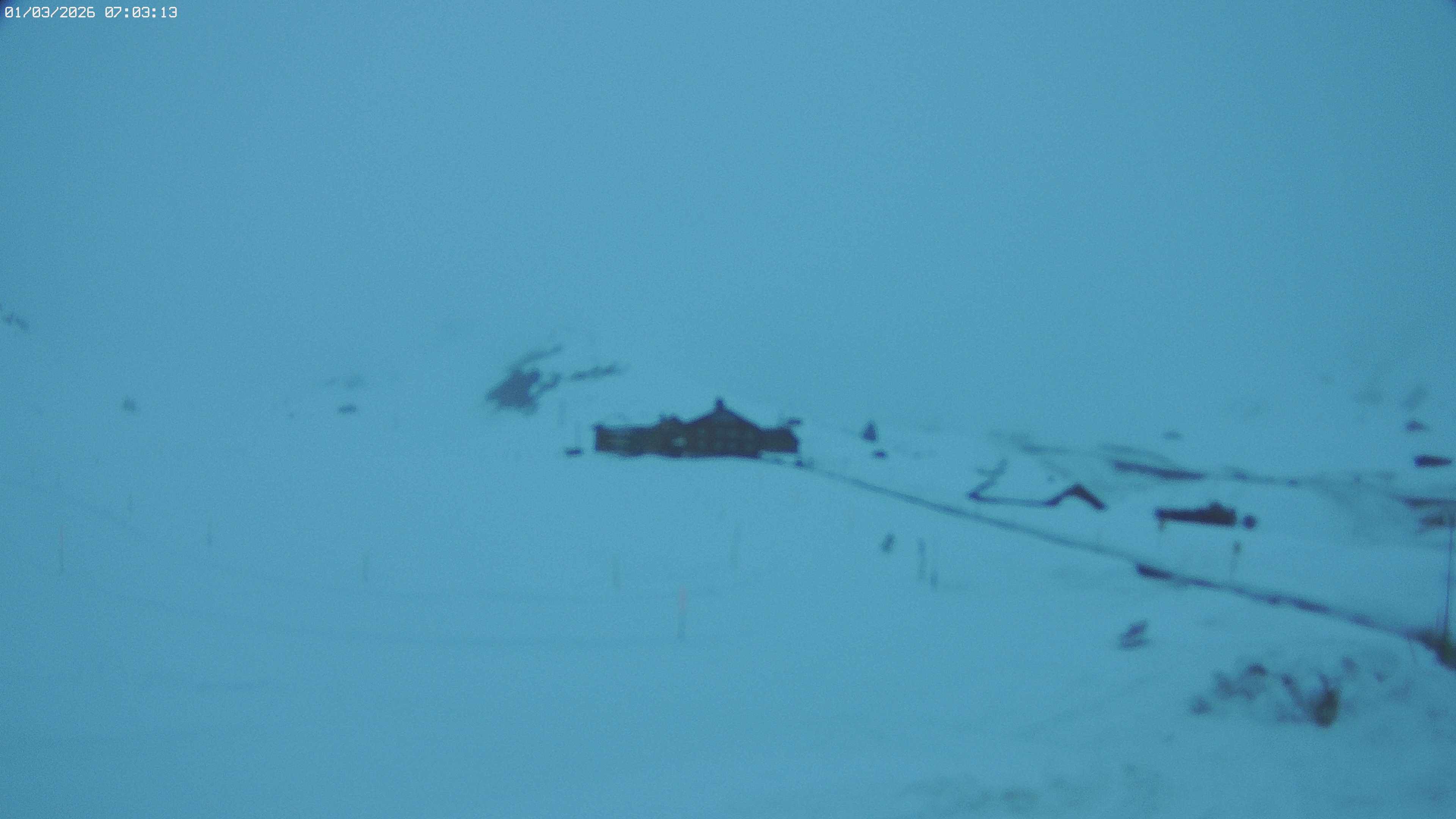 Archived image Webcam Jägeralpe near Warth