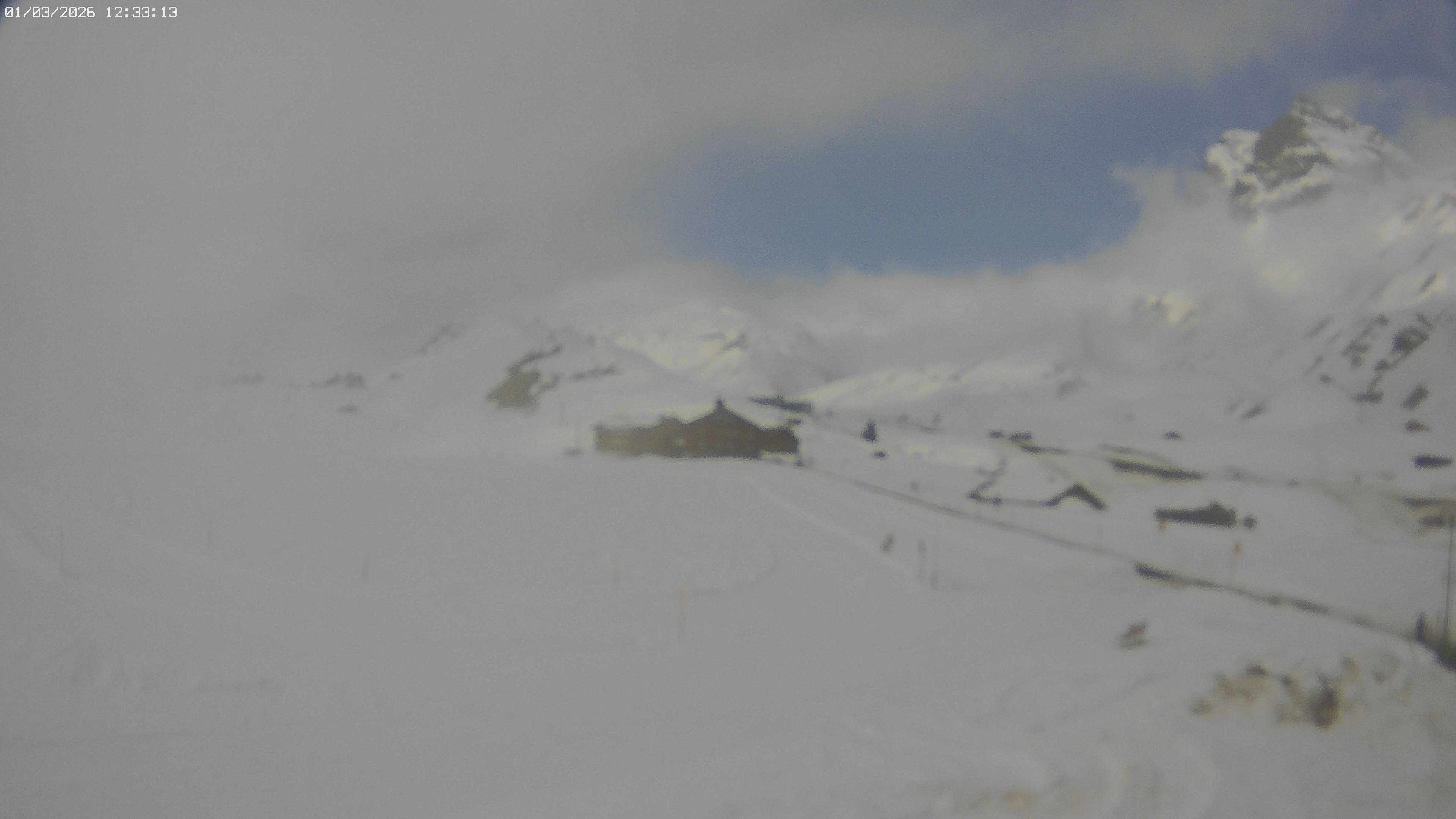 Archived image Webcam Jägeralpe near Warth