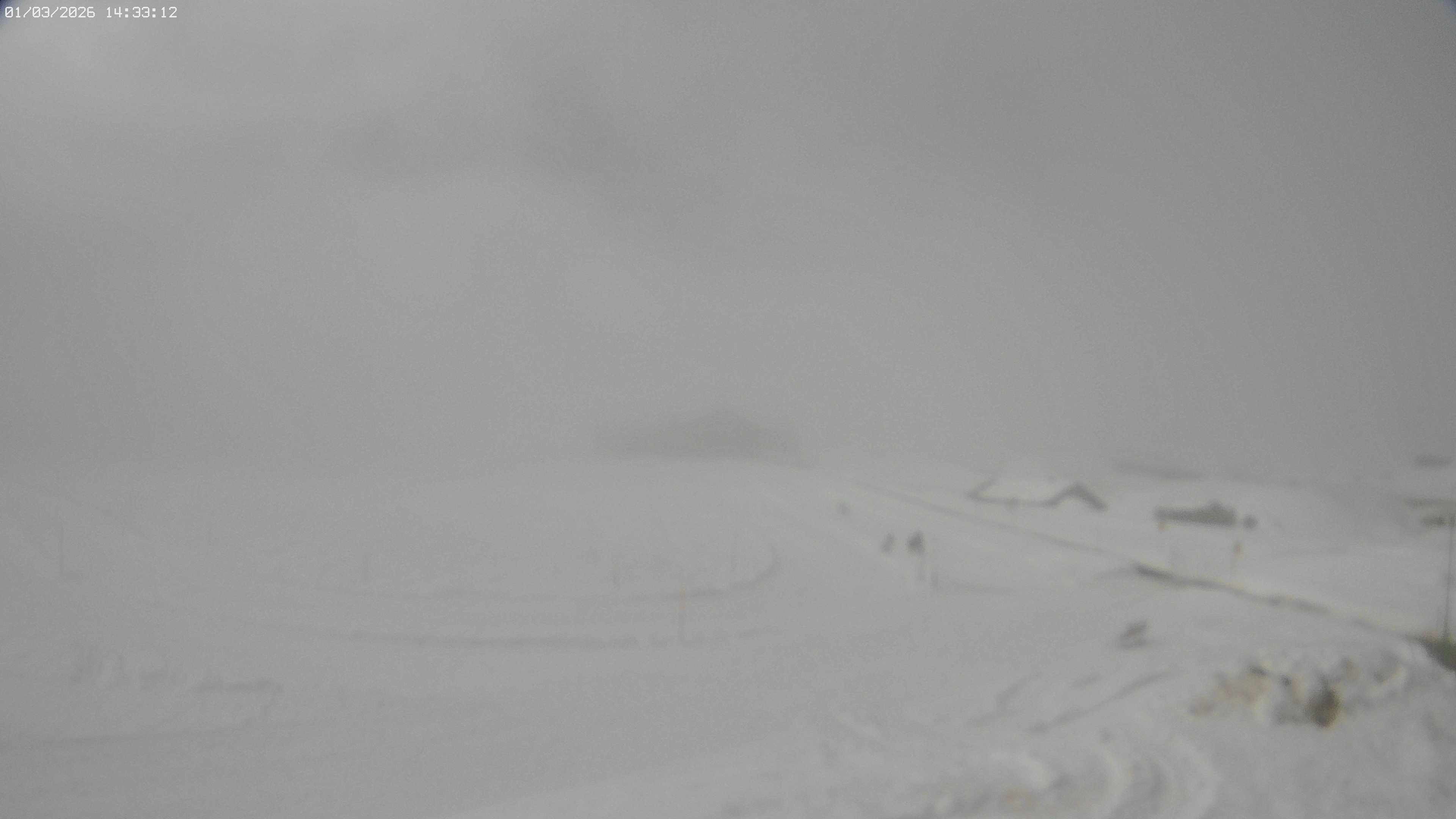 Archived image Webcam Jägeralpe near Warth