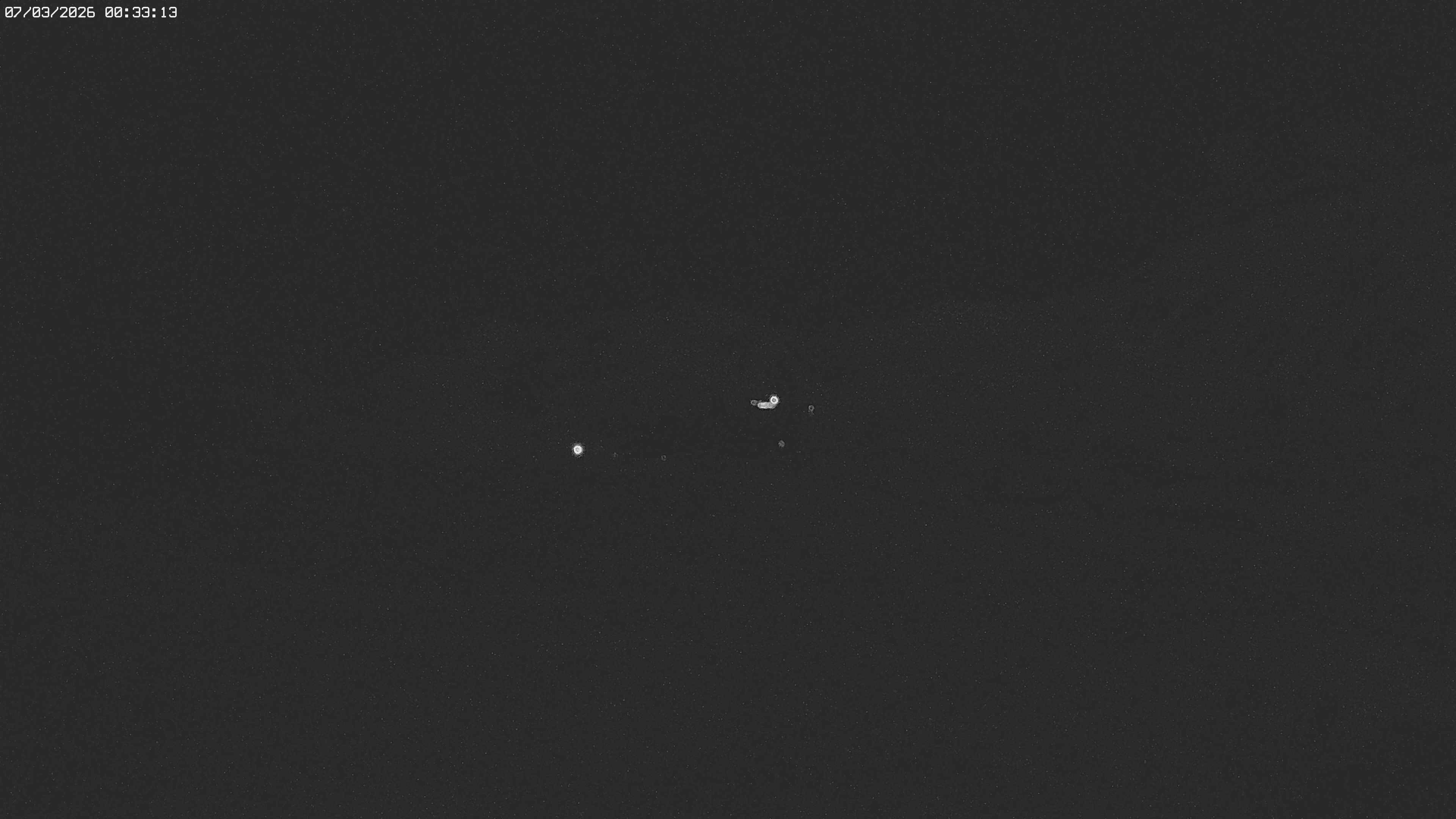 Archived image Webcam Jägeralpe near Warth