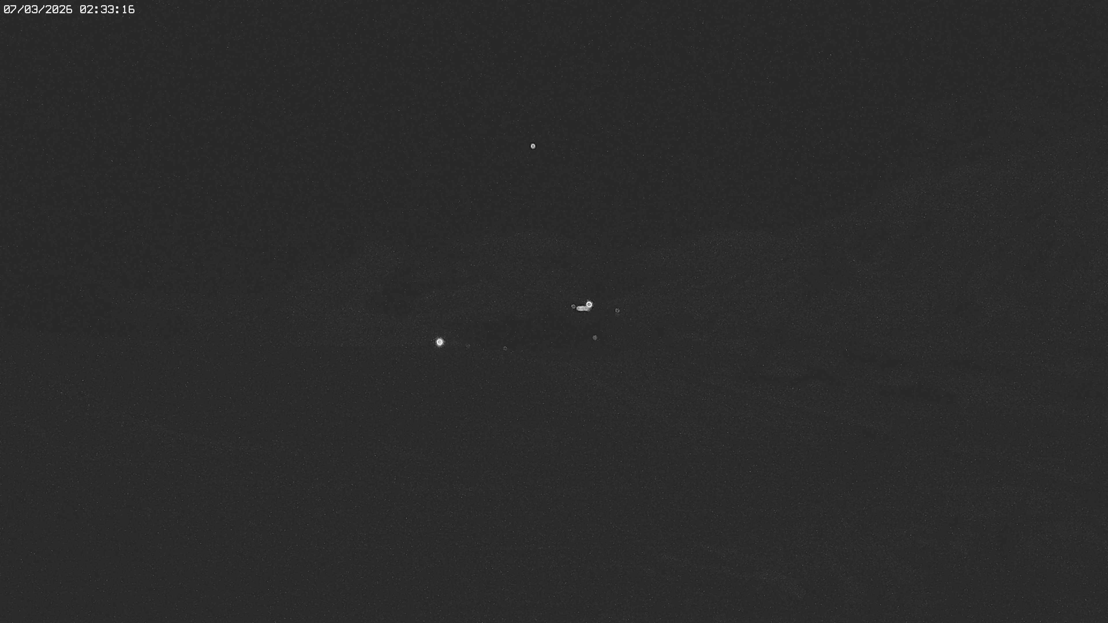 Archived image Webcam Jägeralpe near Warth