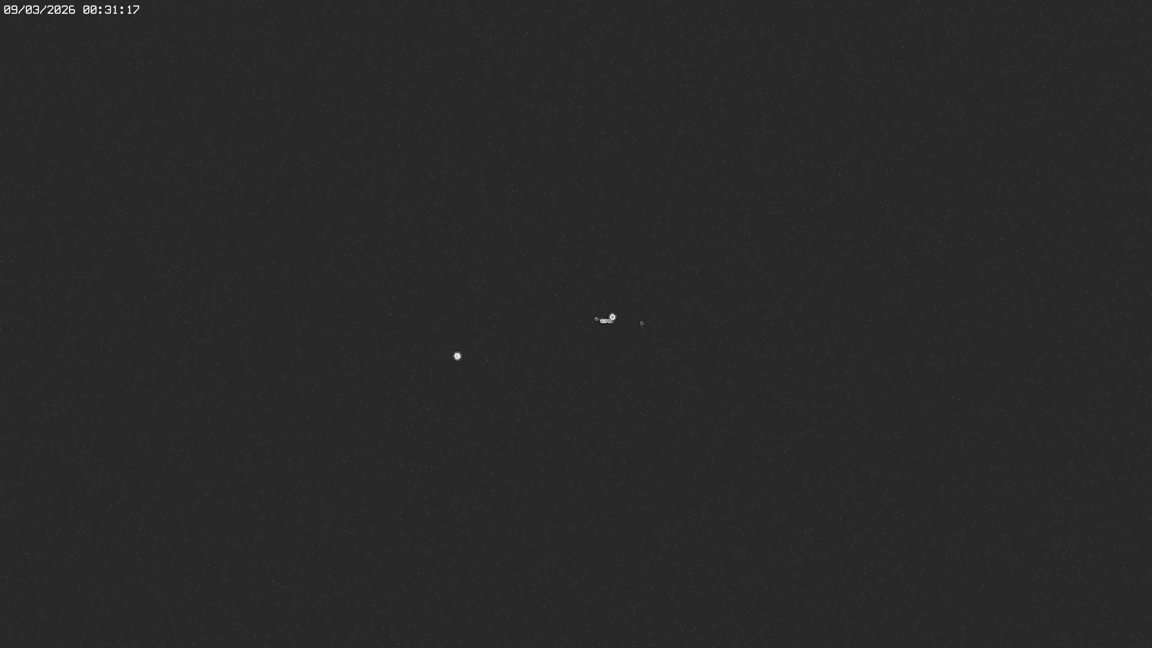 Archiv Foto Webcam Jägeralpe bei Warth