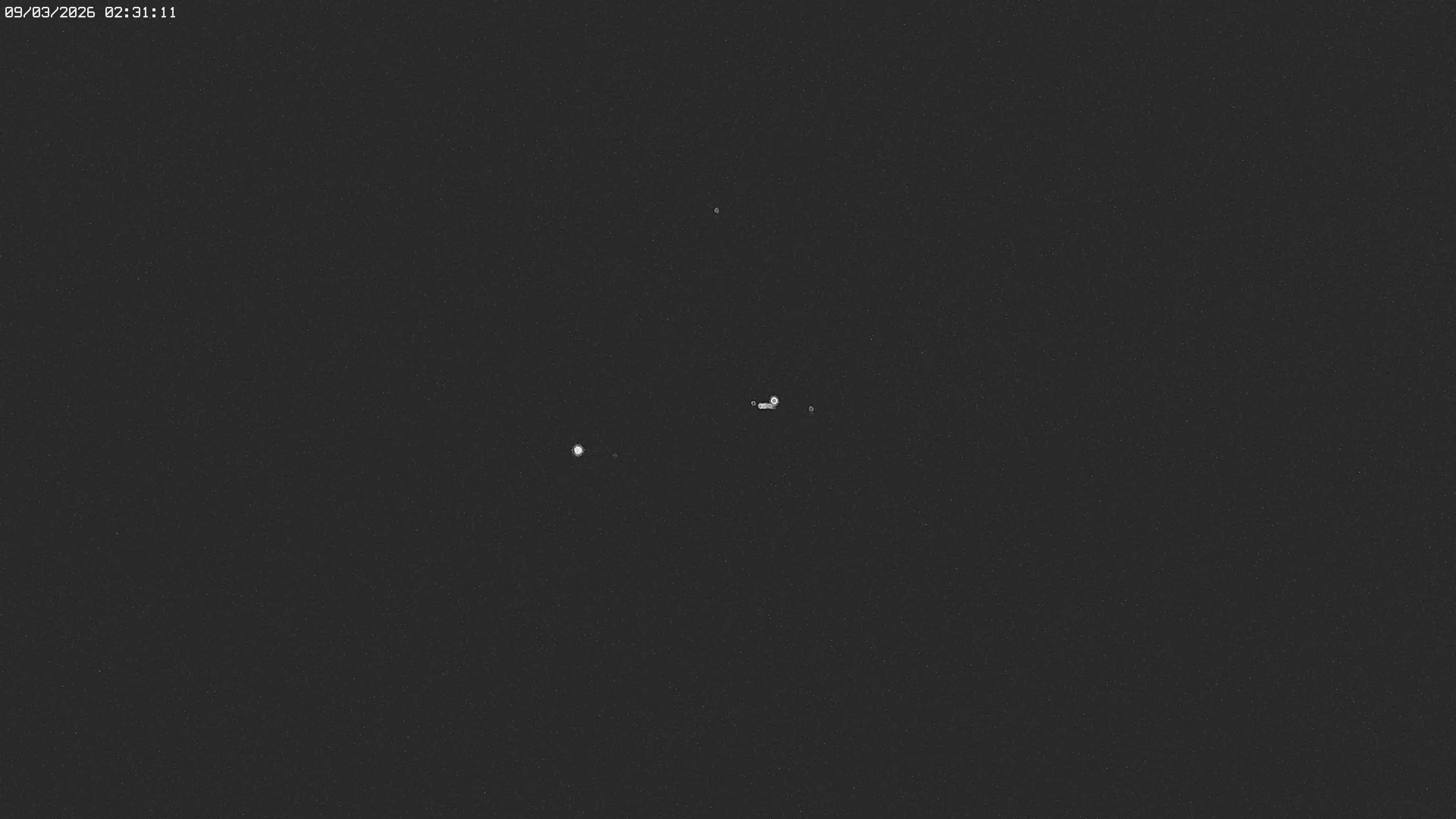 Archiv Foto Webcam Jägeralpe bei Warth