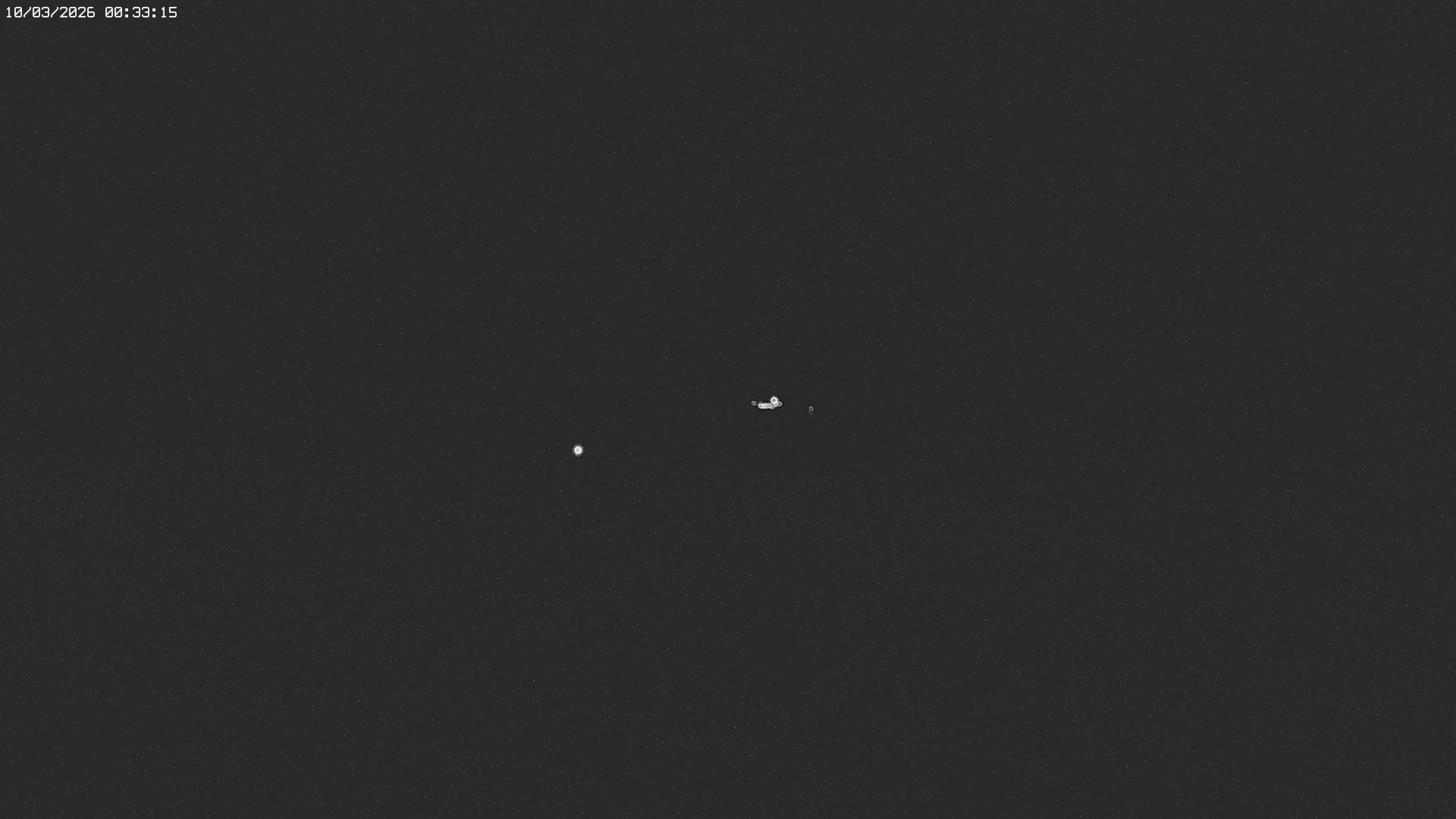 Archived image Webcam Jägeralpe near Warth